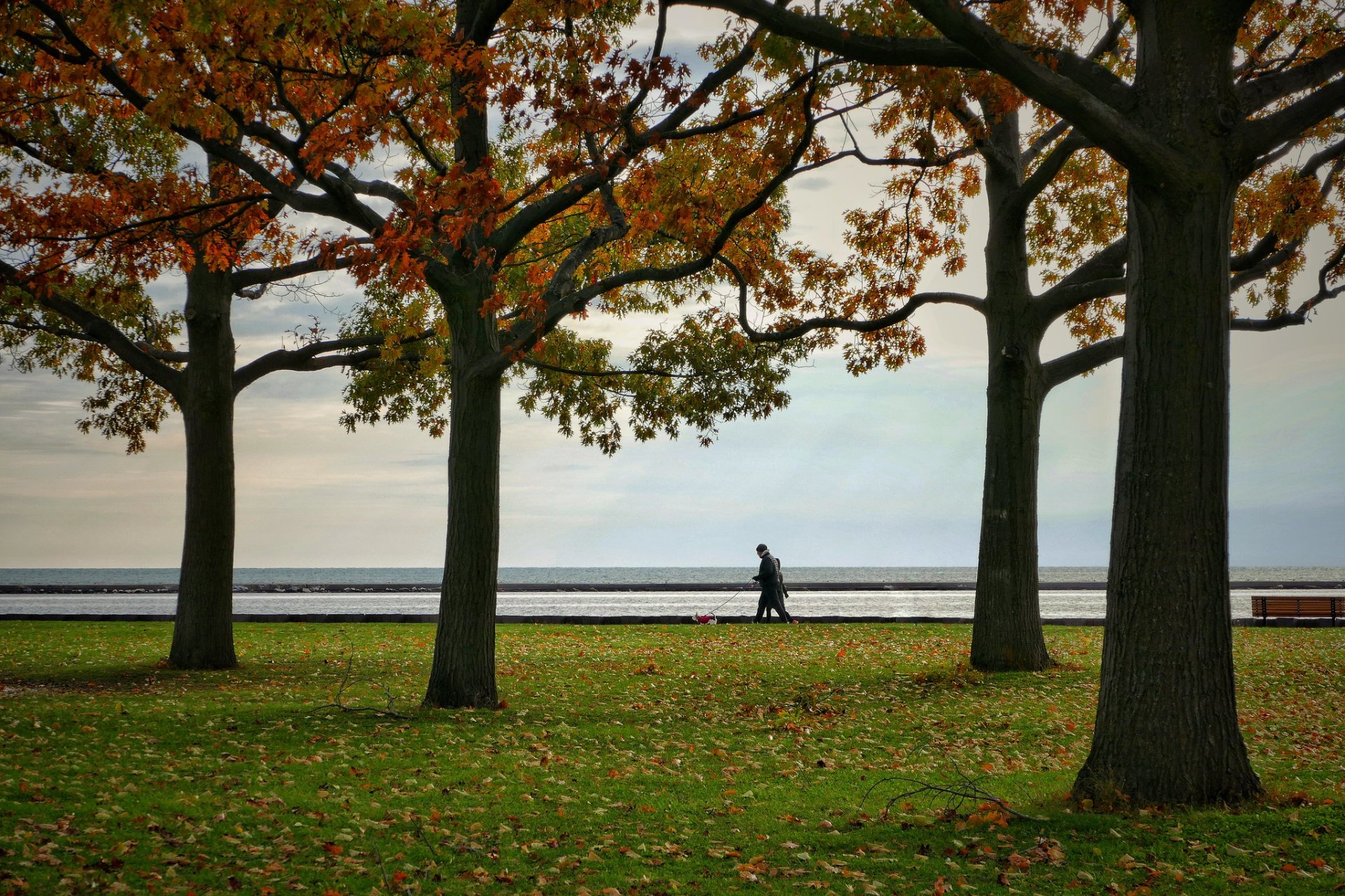 Couleurs d'automne de Milwaukee