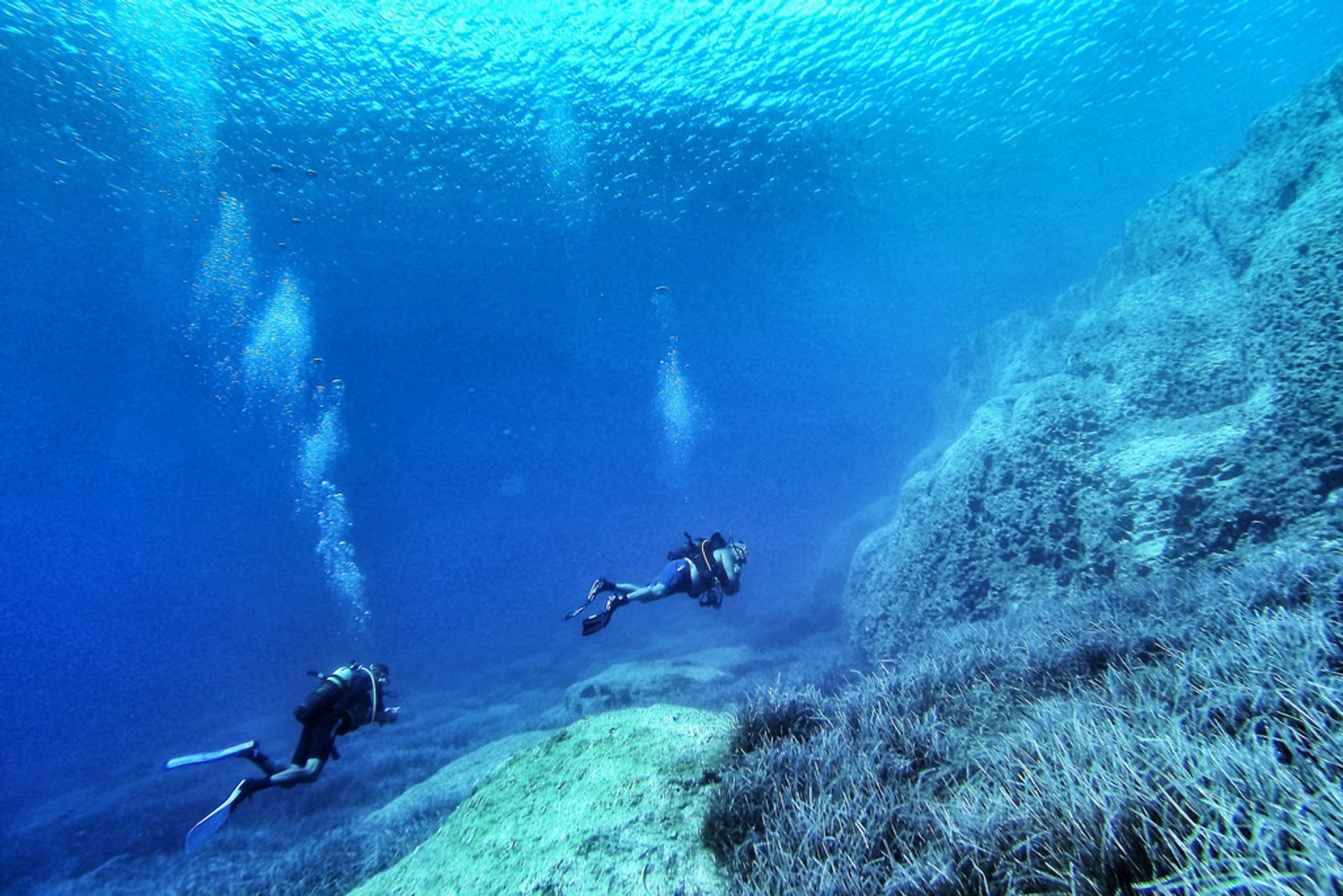 Snorkelling and Diving