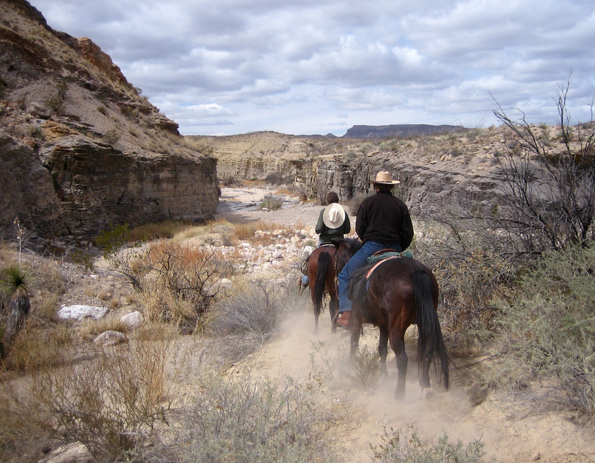 best-time-for-horseback-riding-in-texas-2024-best-season-rove-me