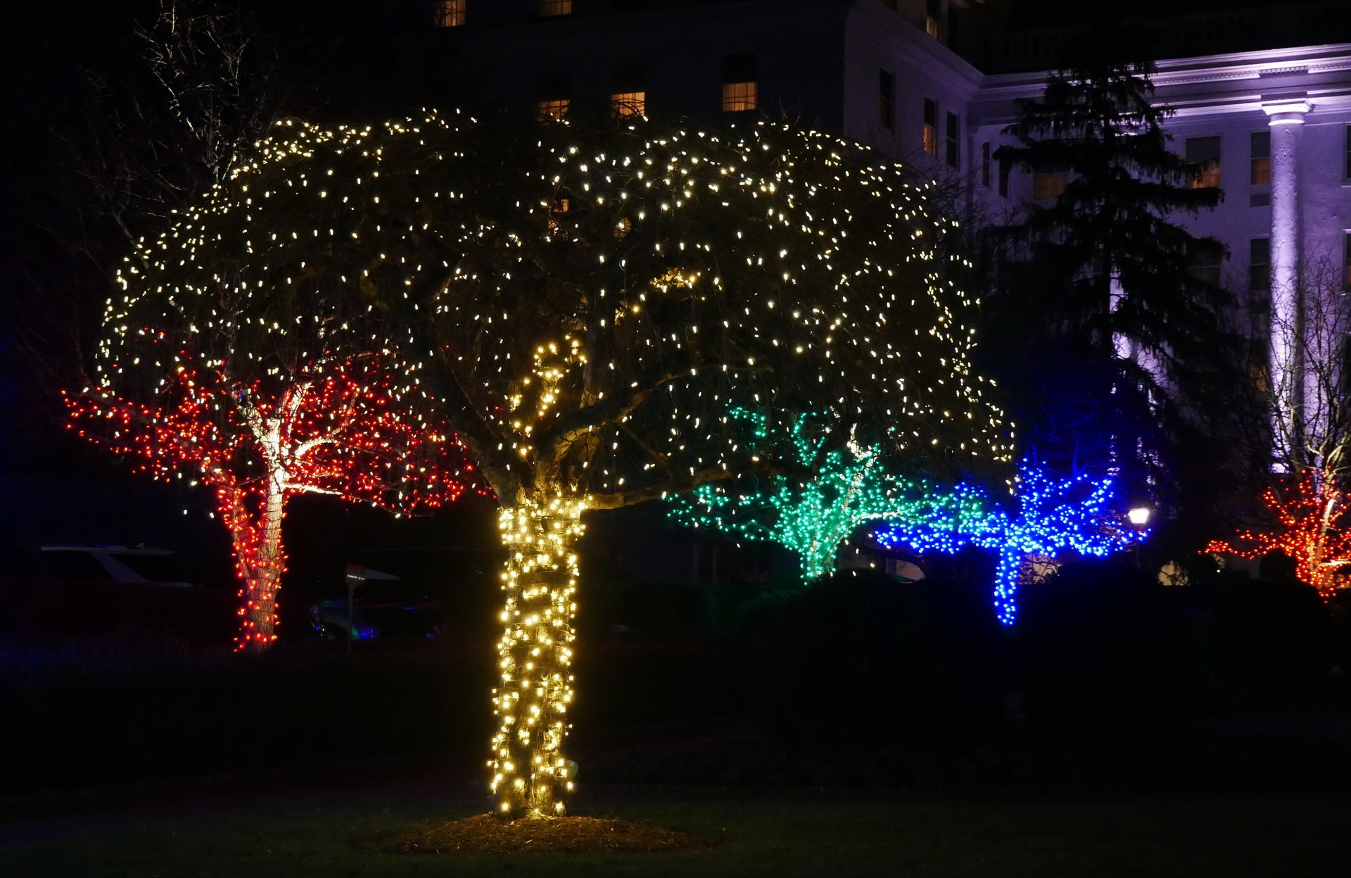 Luces de Navidad