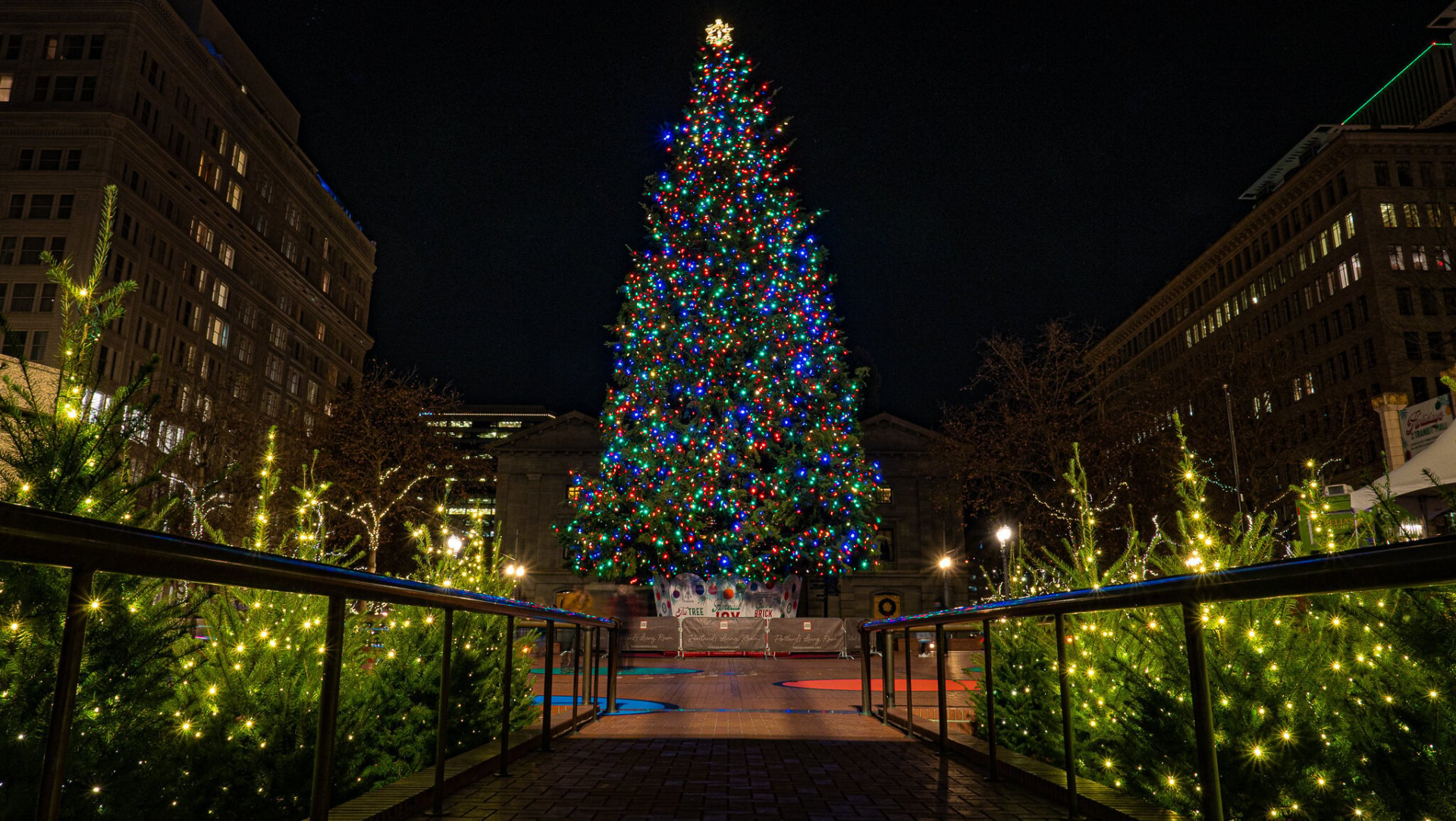 Christmas Lights in Portland