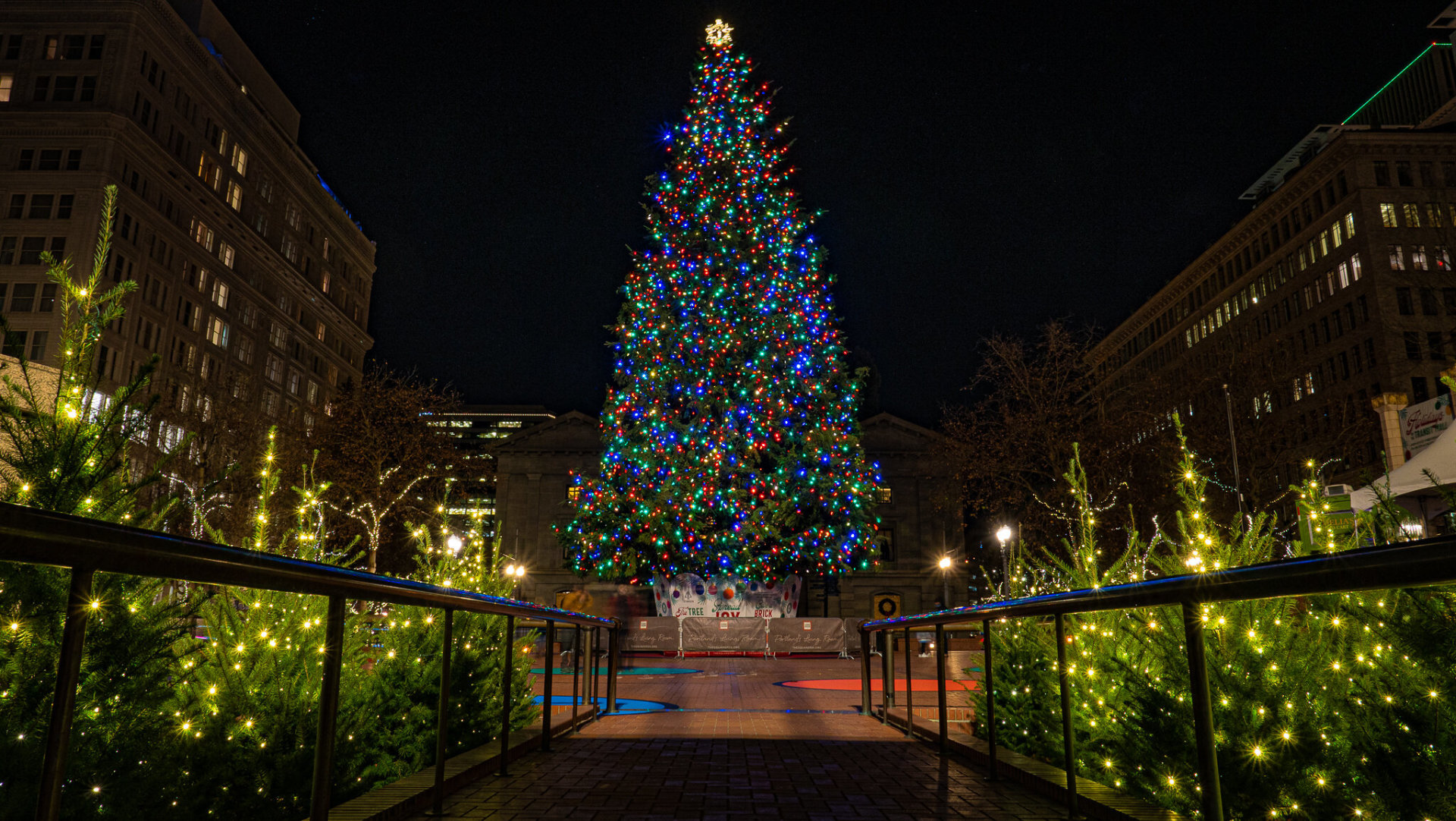 Lumières de Noël