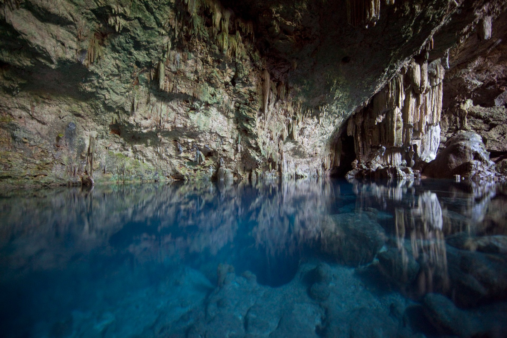 Cenote Diving, Snorkelling, and Swimming