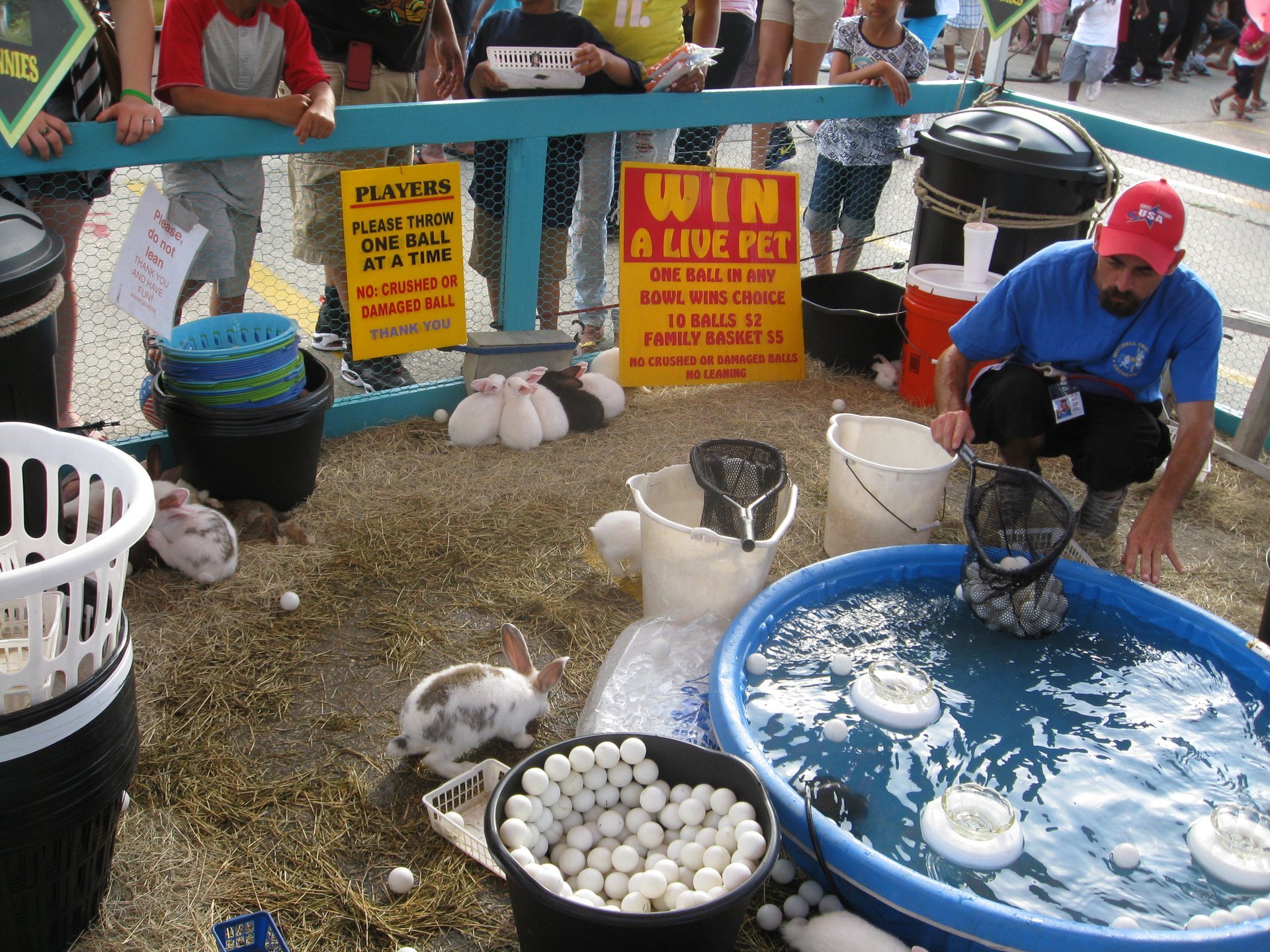 Louisiana Crawfish Festival