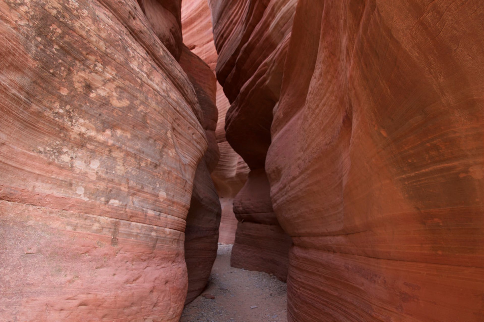 Red Canyon (canyon Peek-a-Boo)