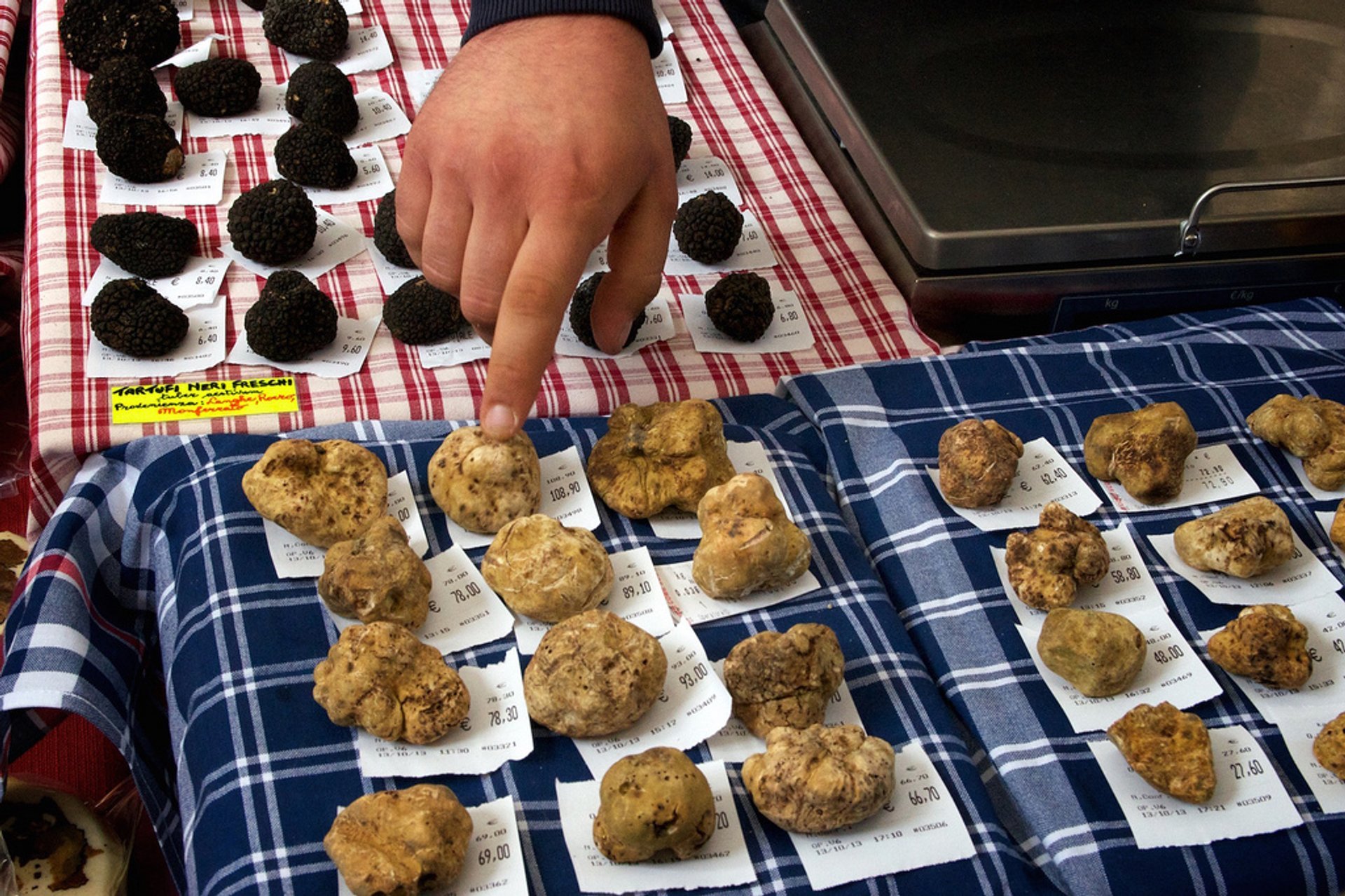 Estación de trufas blancas y ferias