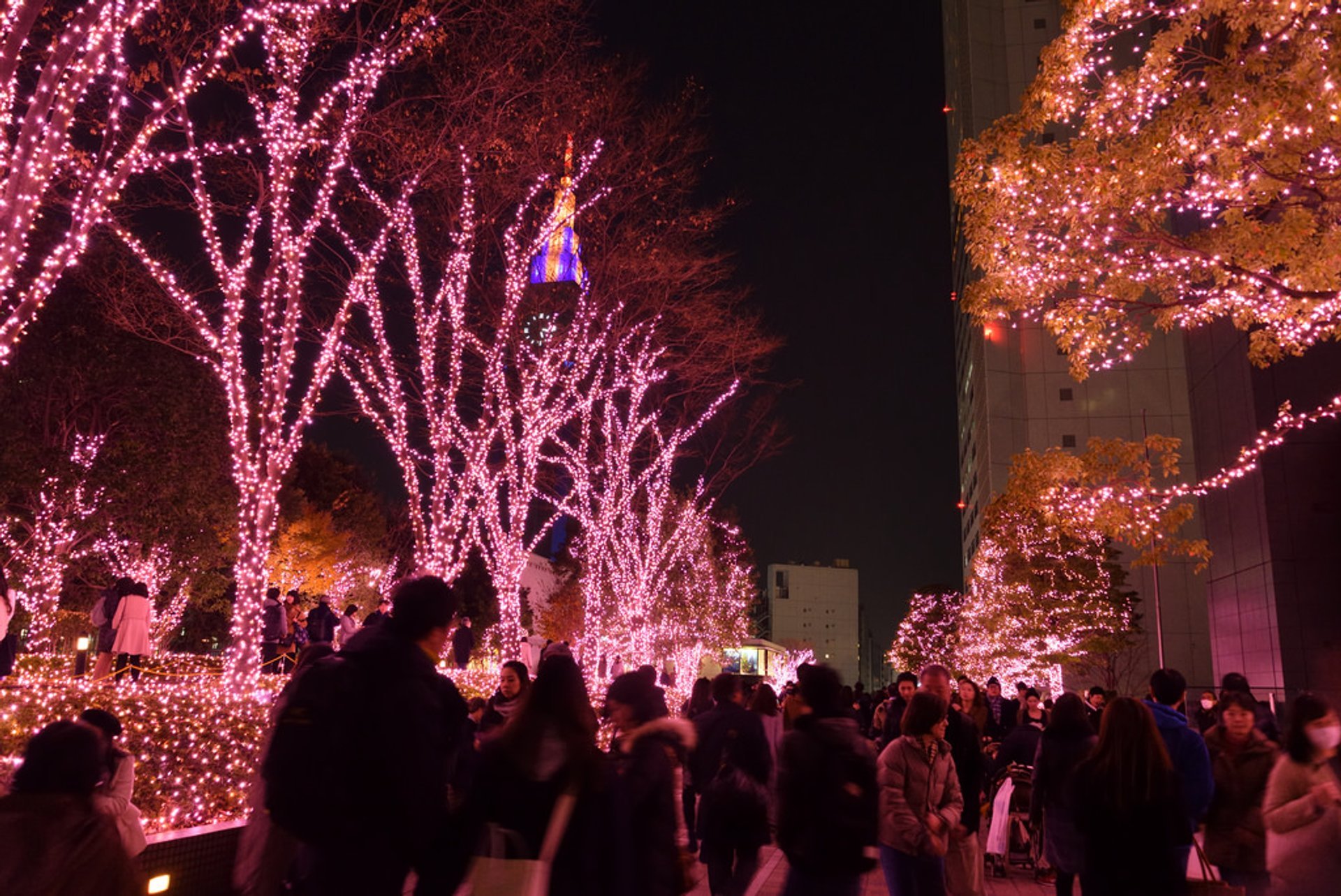 Winter Illumination 2022-2023 In Tokyo - Dates