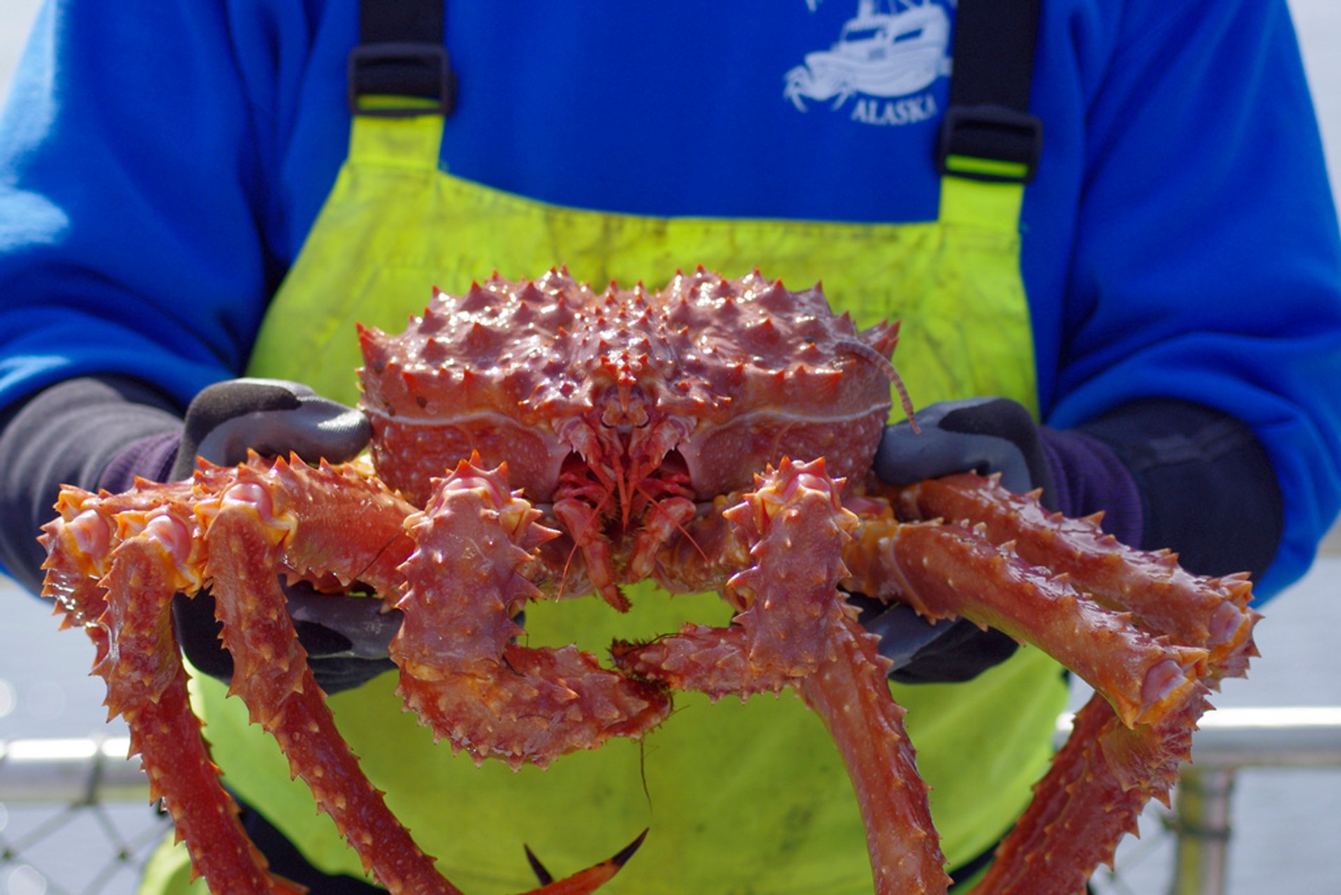 best place for alaskan king crab