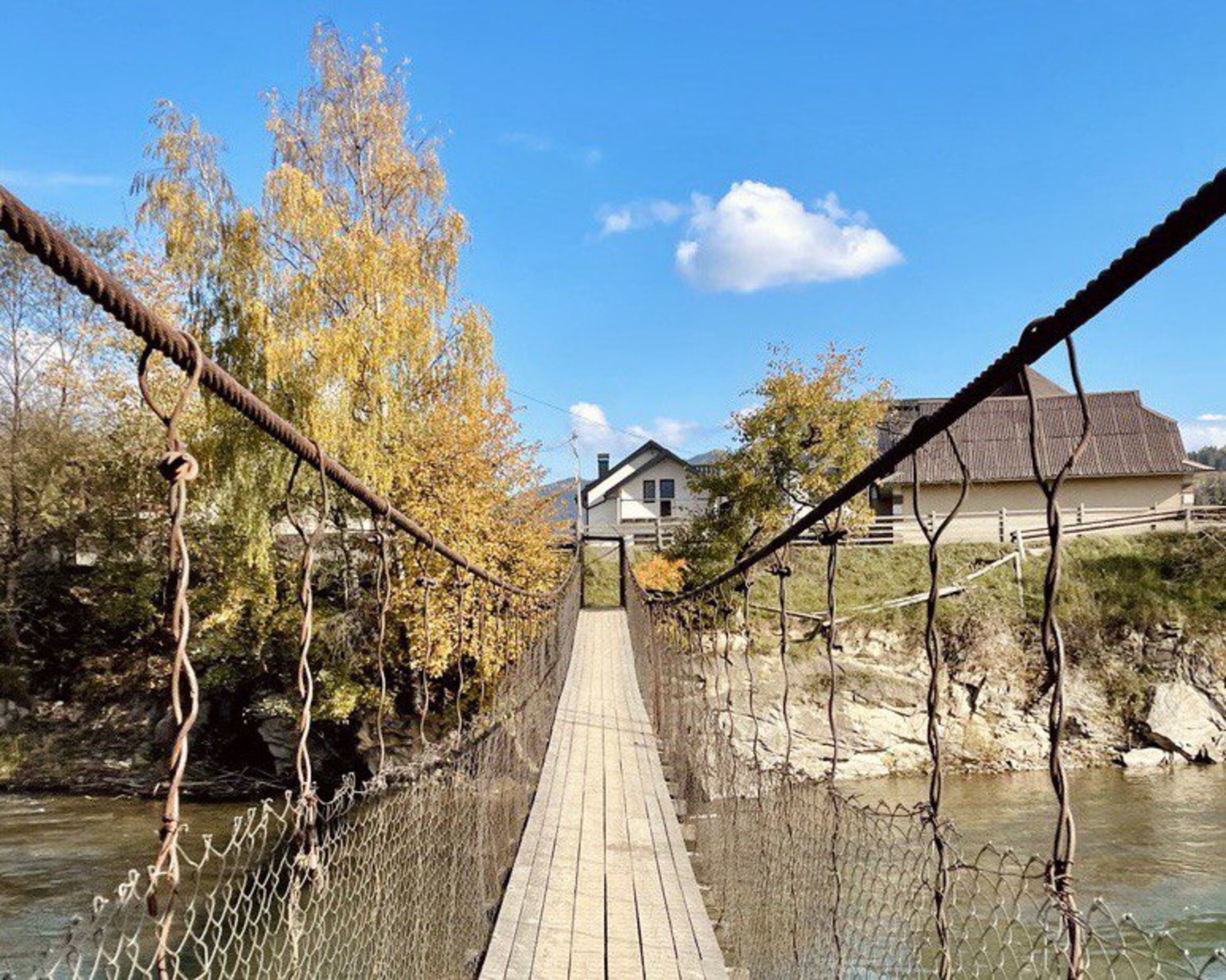 Folhagem de Outono nas Montanhas dos Cárpatos