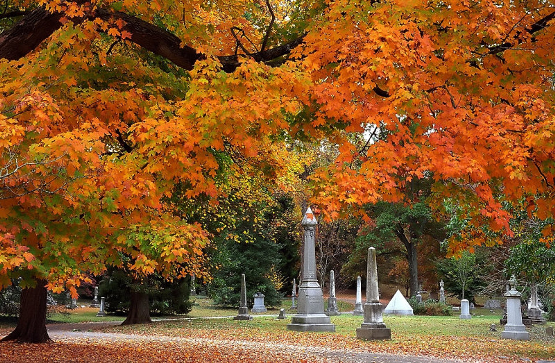 Couleurs d'automne de Cincinnati