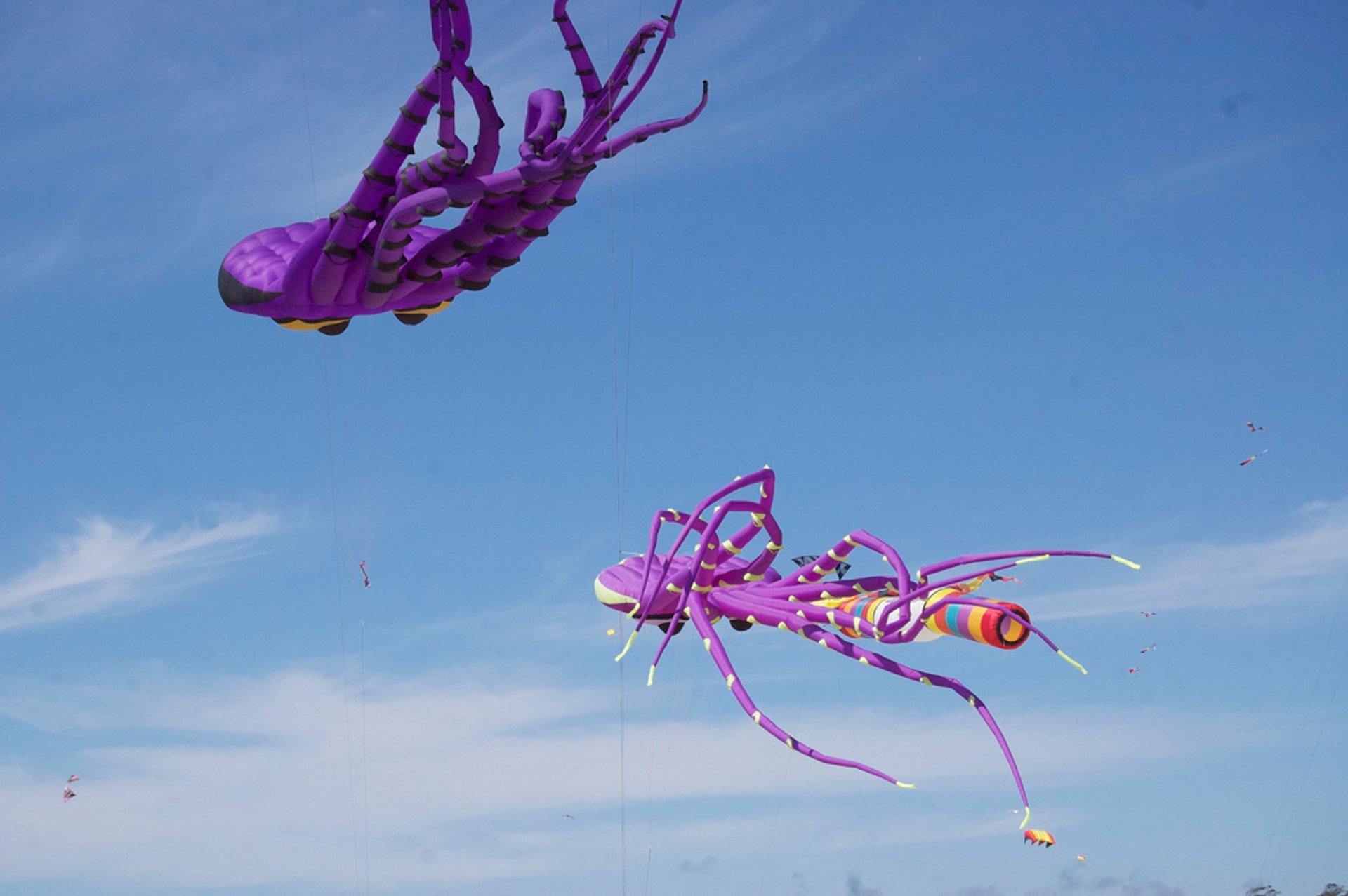 Lincoln City Kite Festival 2024 in Portland Dates