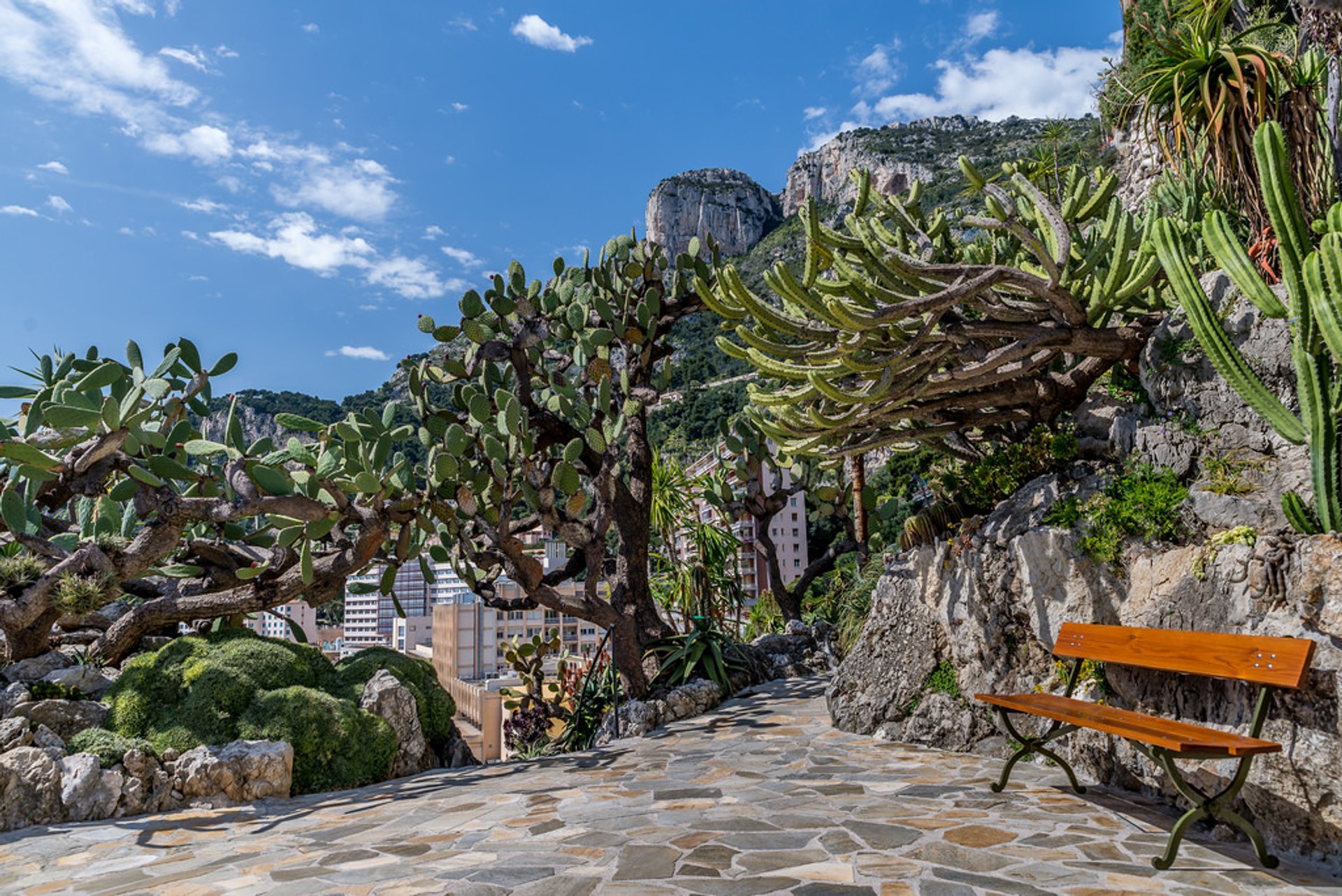 Exotic Garden of Monaco