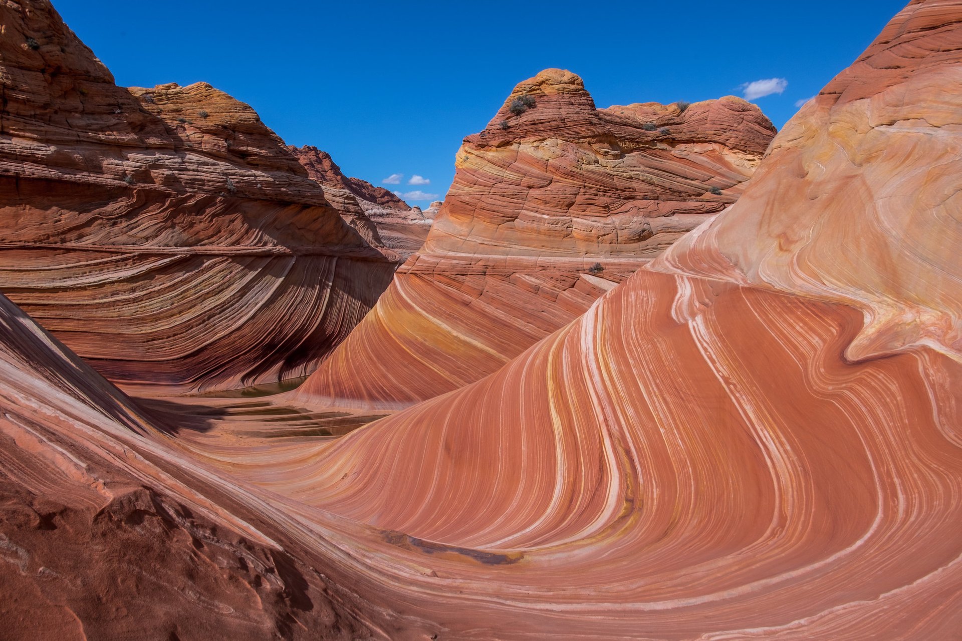 The Wave en Coyote Buttes