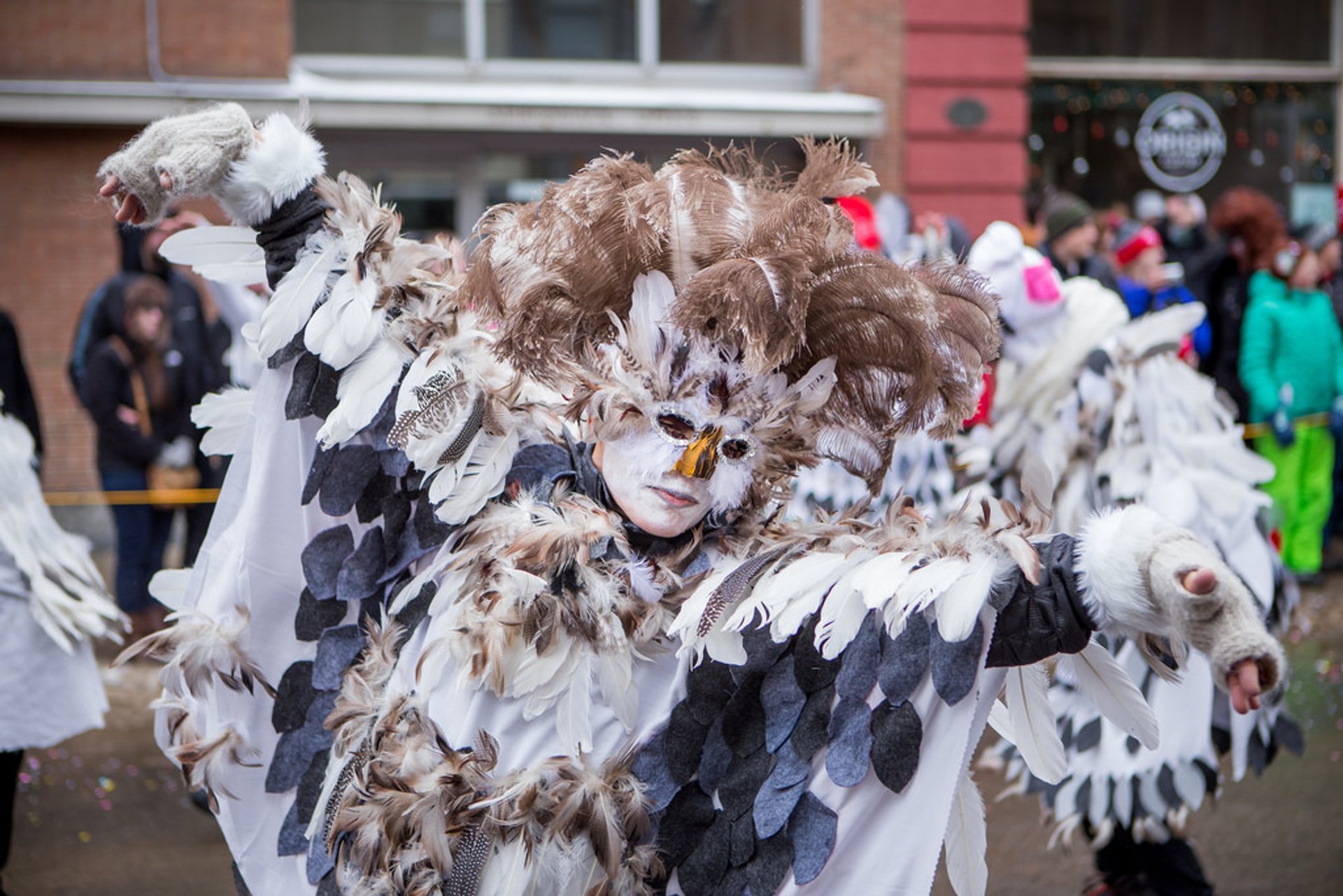 Saranac Lake Winter Carnival 2024 In New York State Rove me