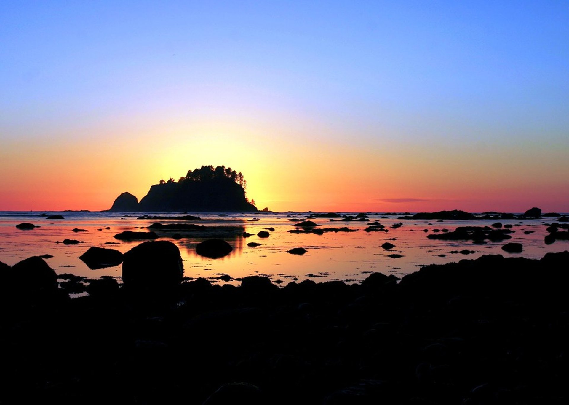 Ozette Triangle Loop Trail