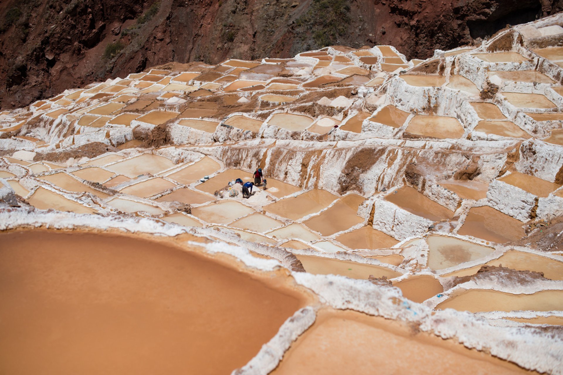 Récolte de sel à Salinas de Maras