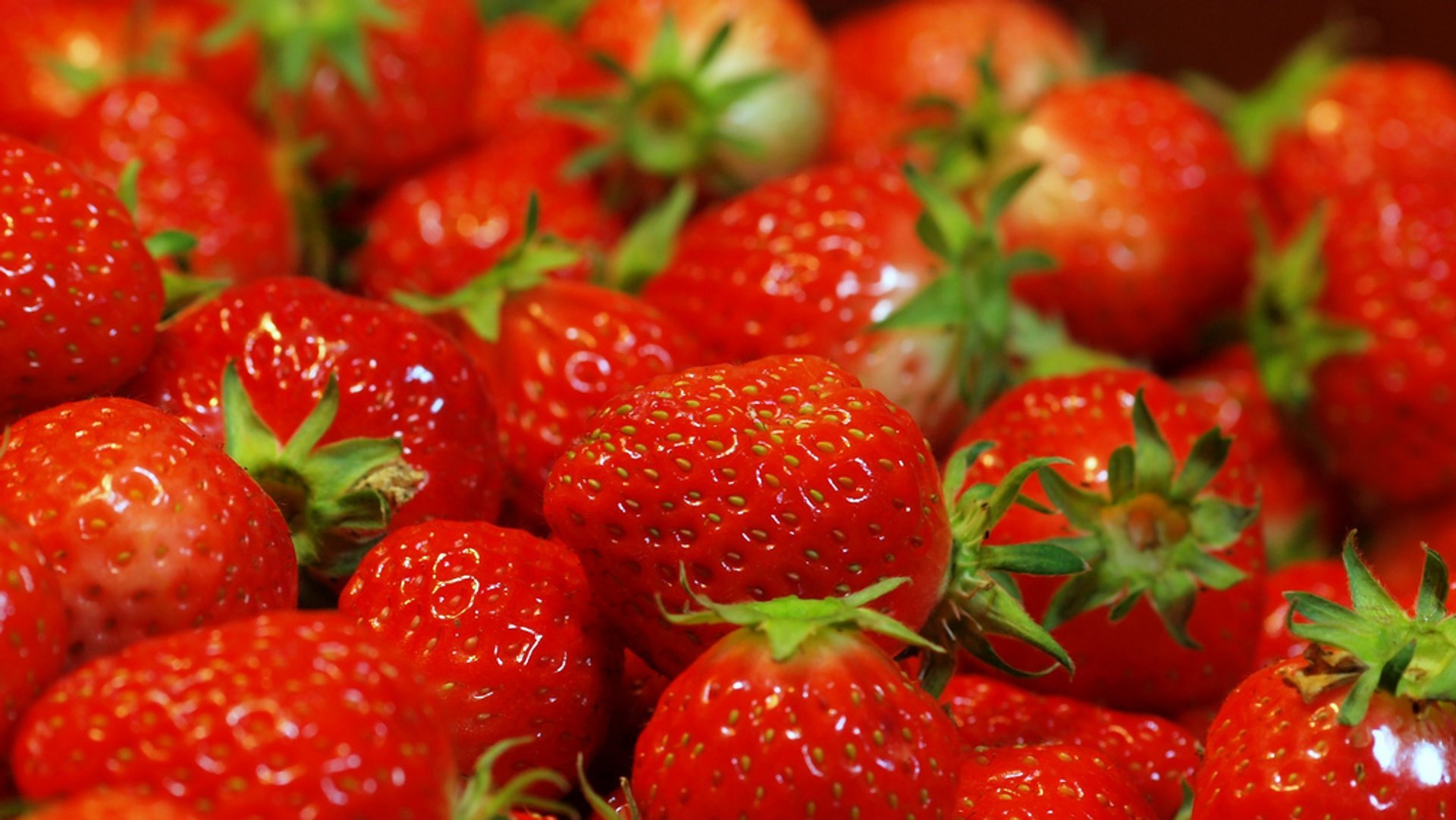 Strawberries Season in Japan 2024 Rove.me