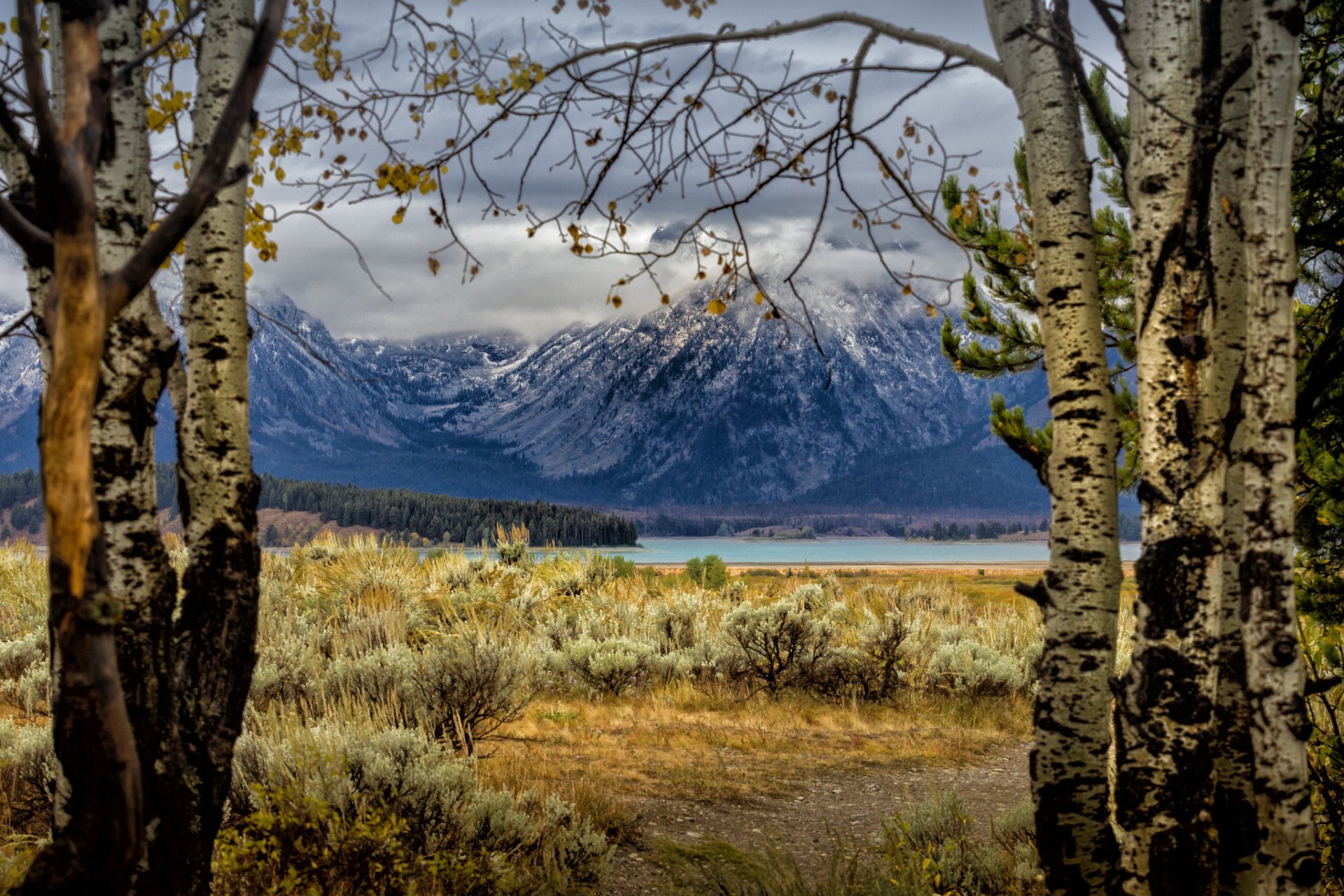 Cores de outono de Wyoming