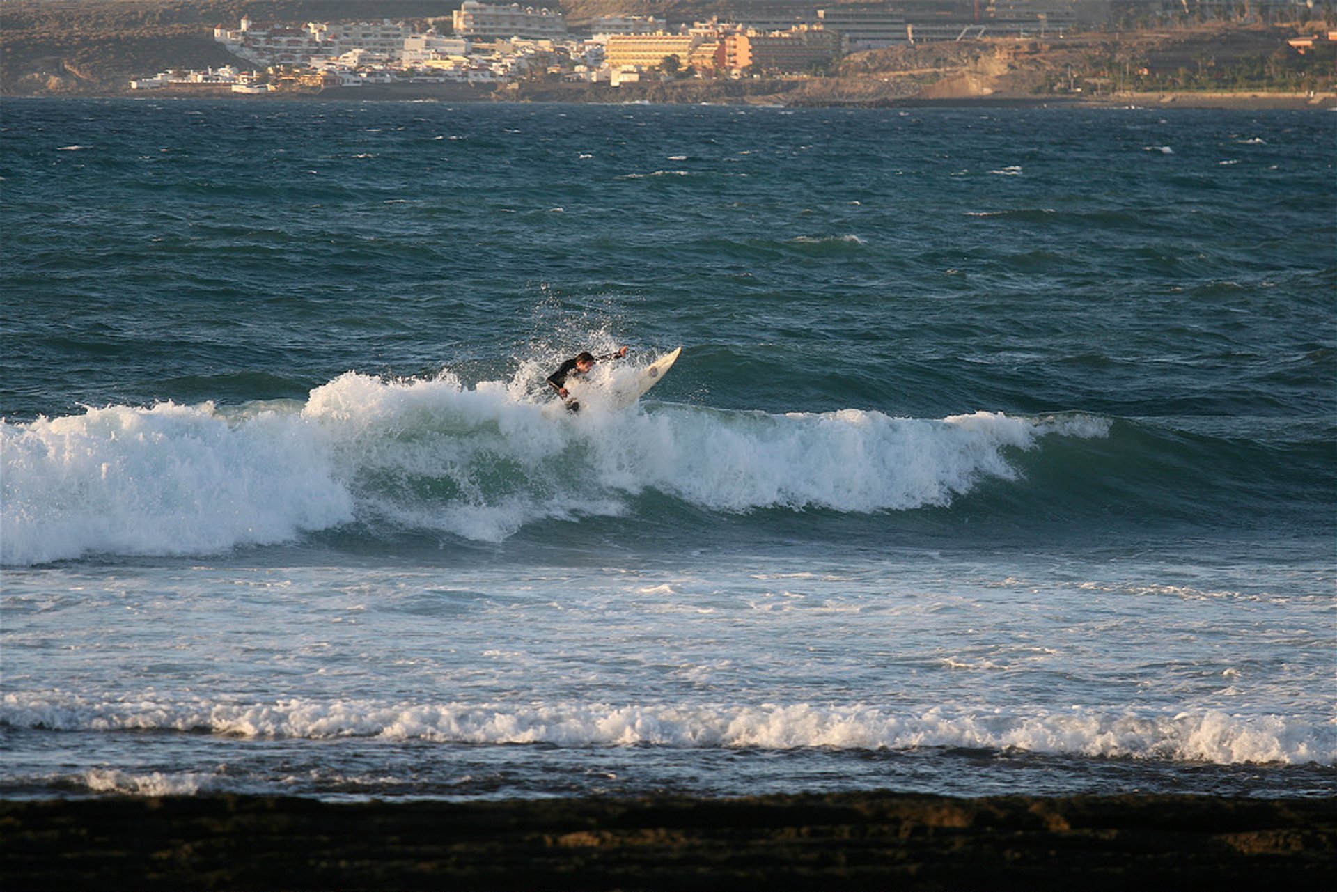 Surfen oder Wellenreiten