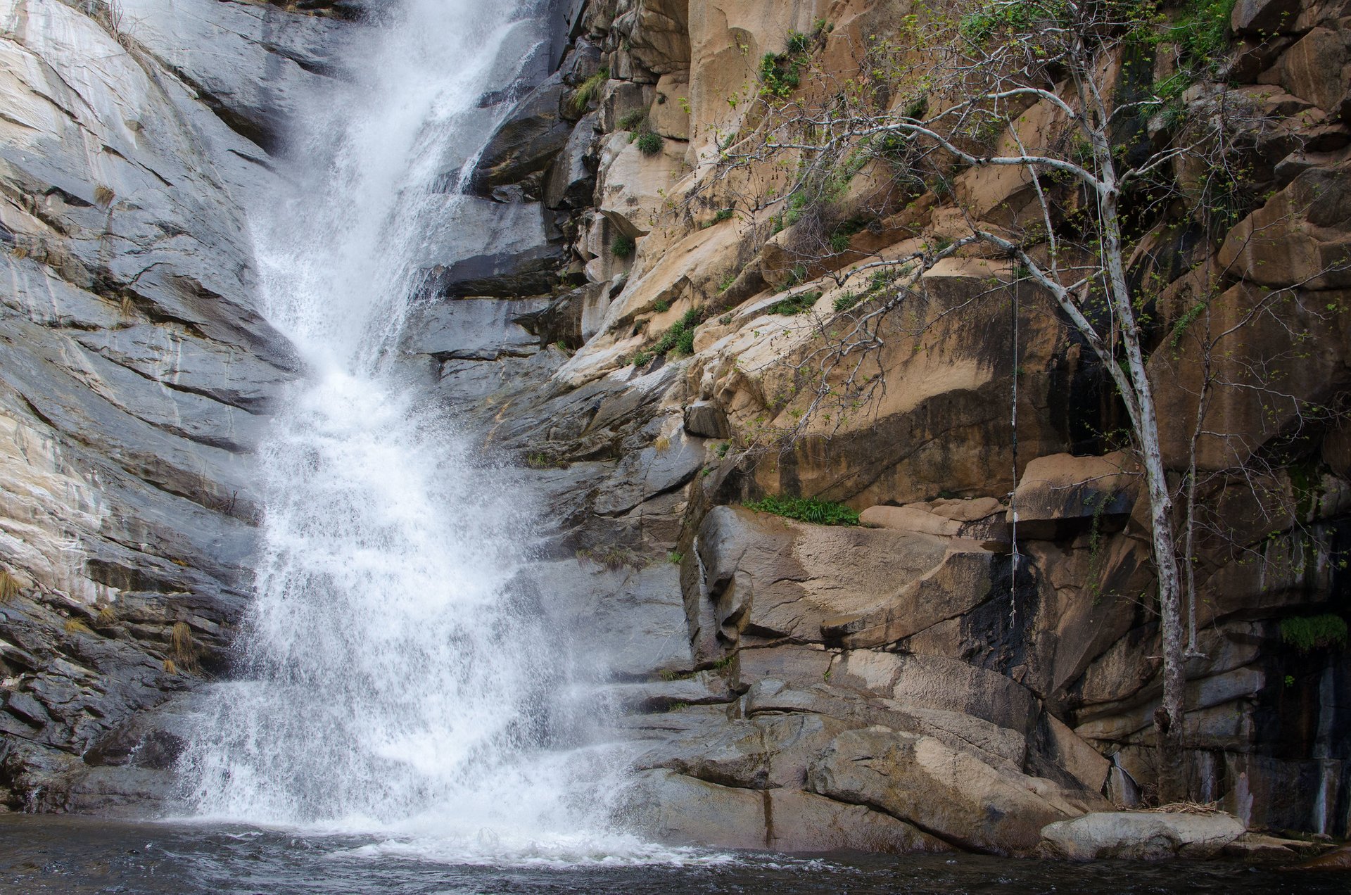 Cedar Creek Falls