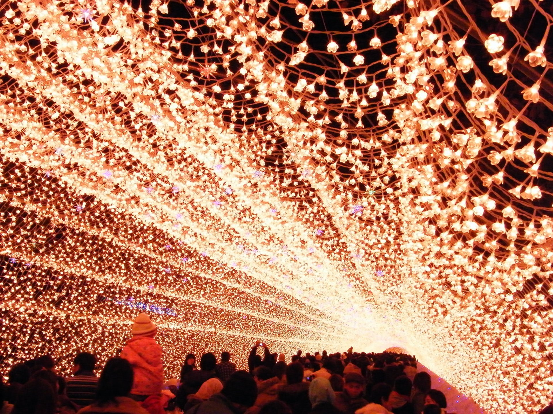 Illuminazione invernale di Nabana No Sato