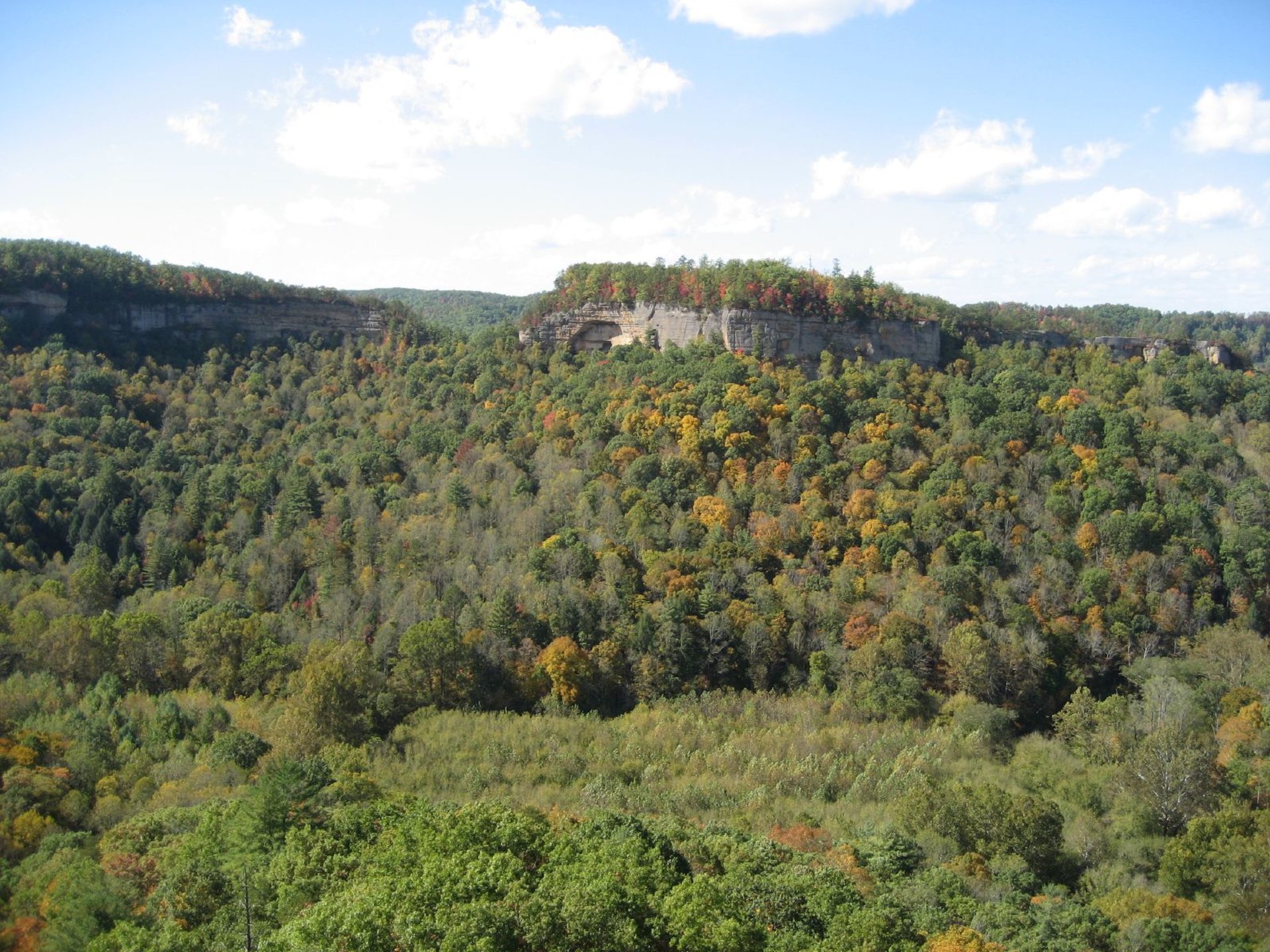 Colores de otoño de Ged River Gorge