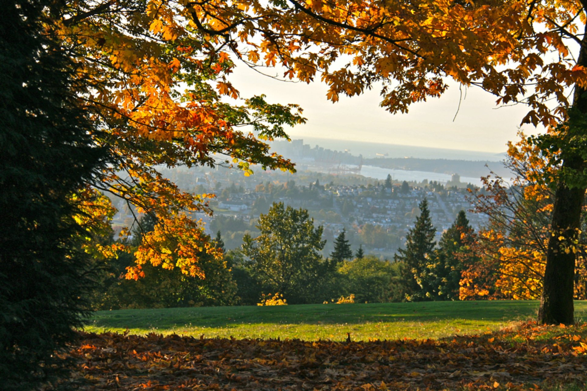 Colores de otoño en Vancouver