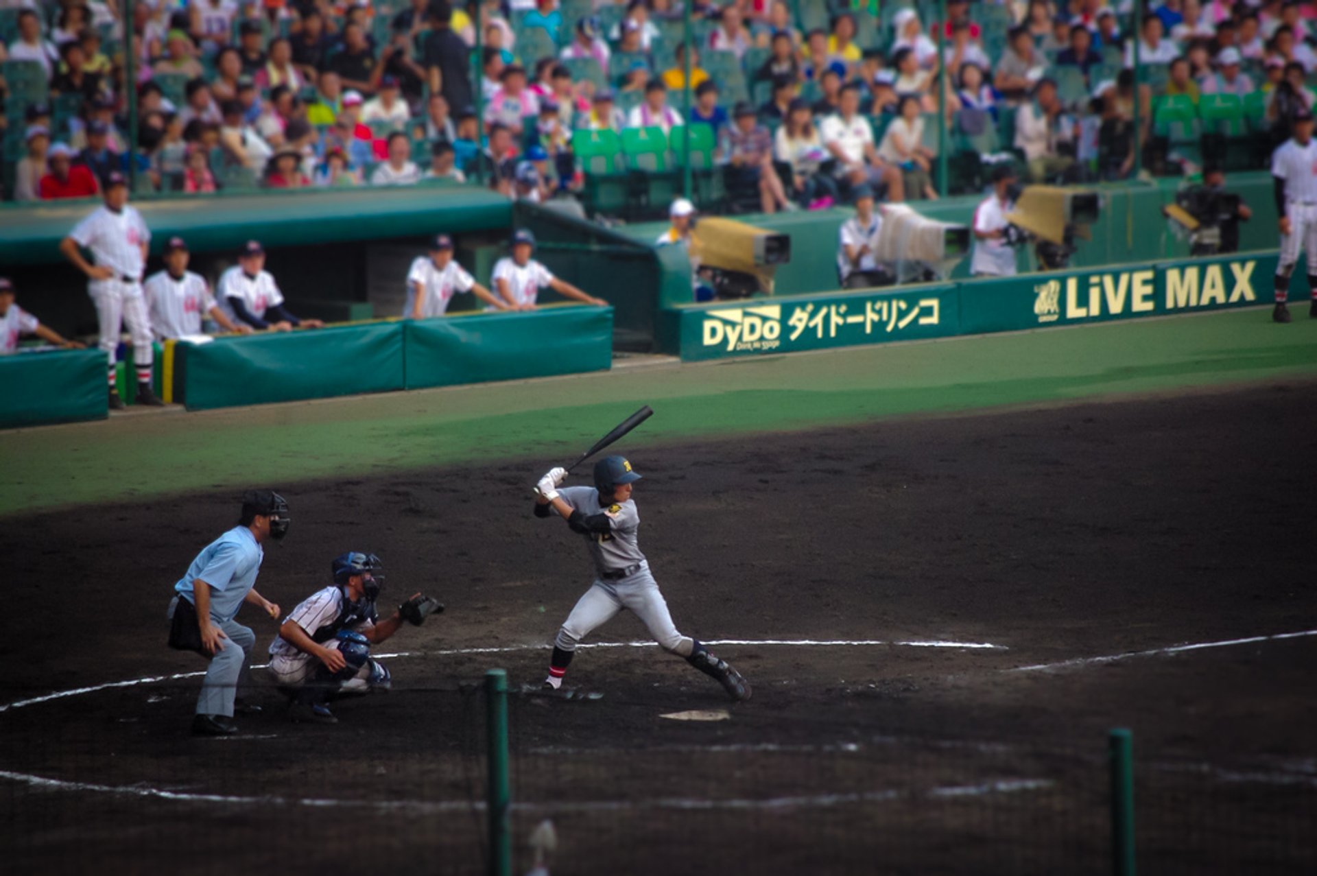 O Beisebol no Japão, Guide