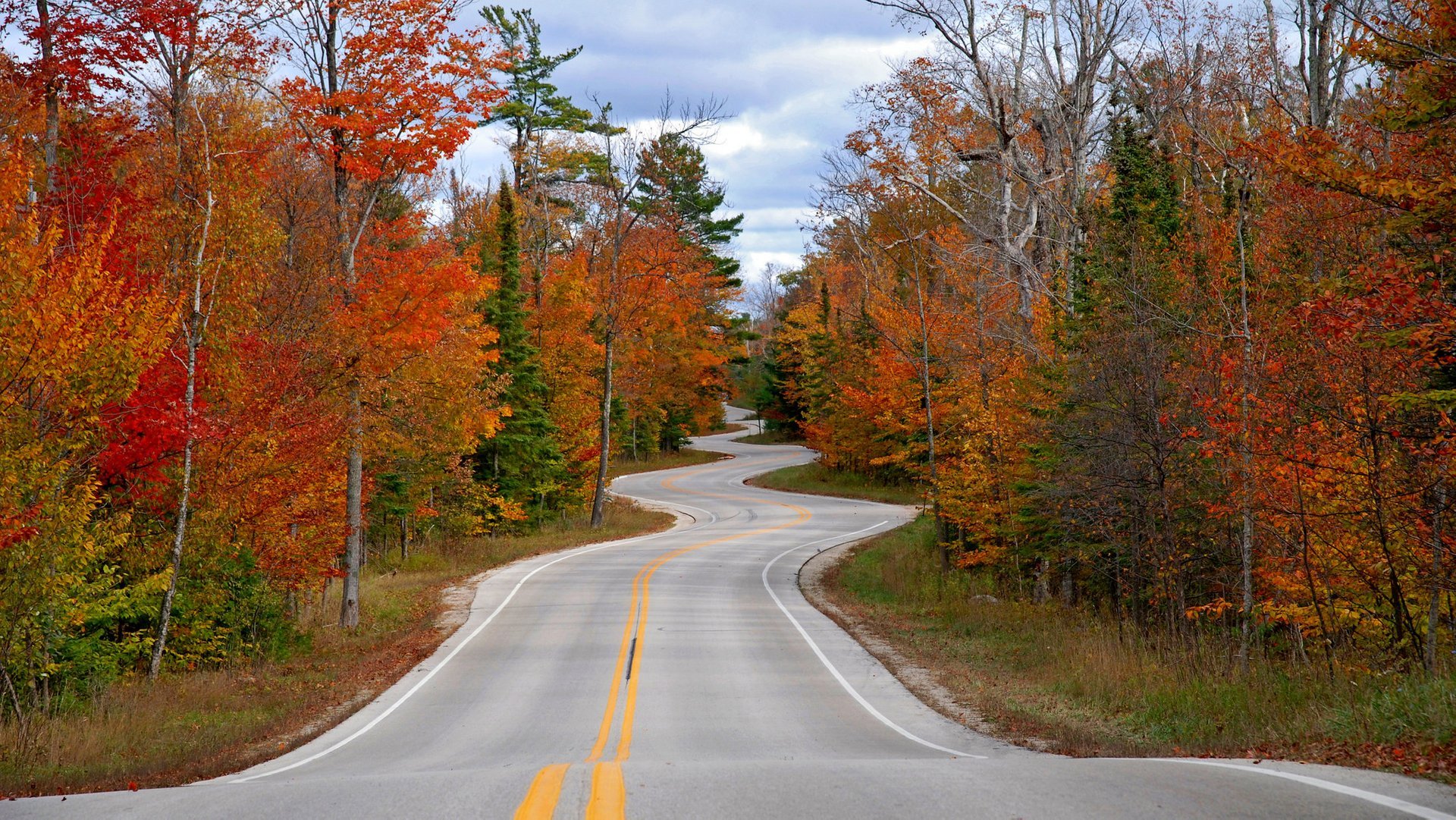 Best Time to See Wisconsin Fall Colors 2024 When to See Rove.me