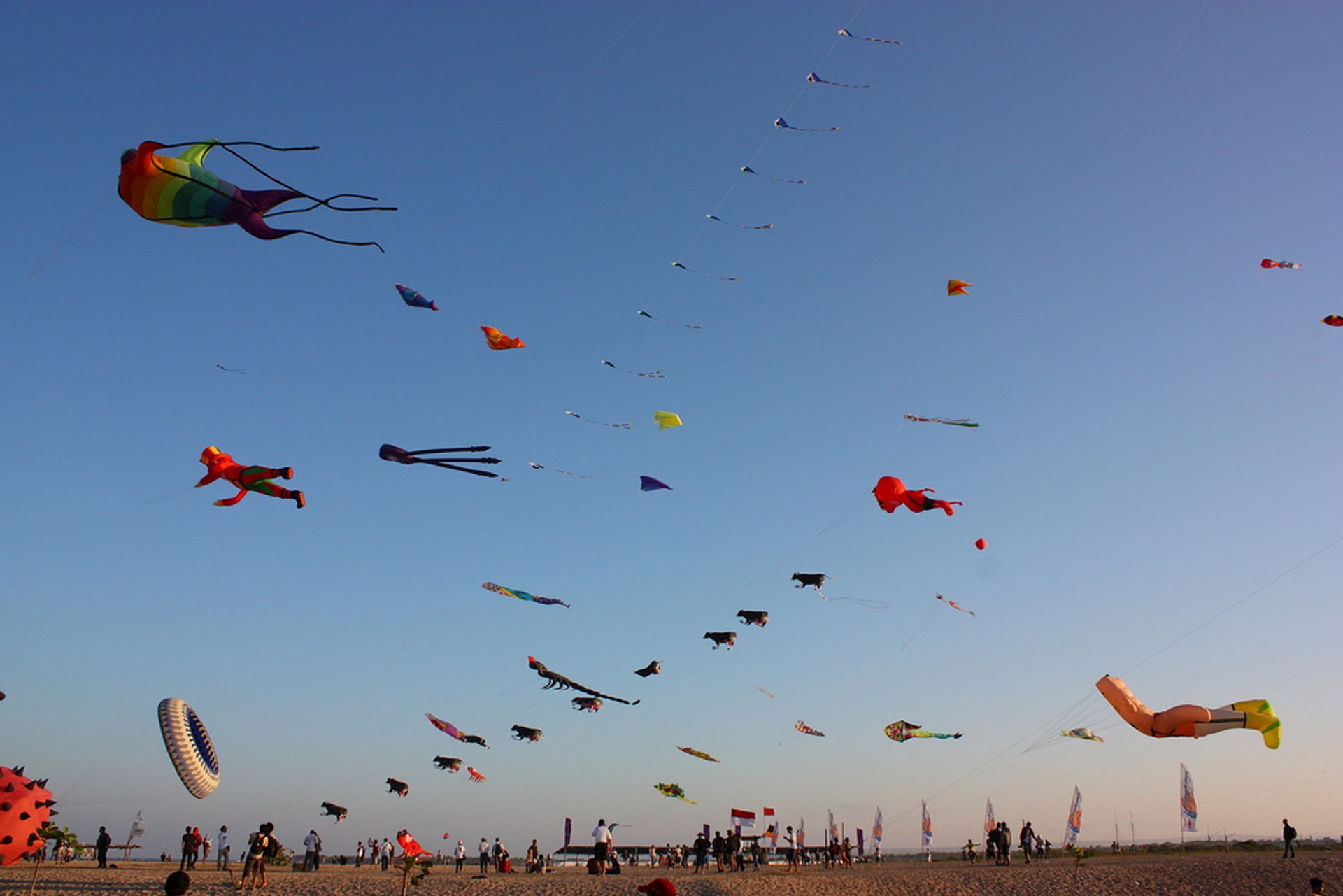 india kite festival 2021