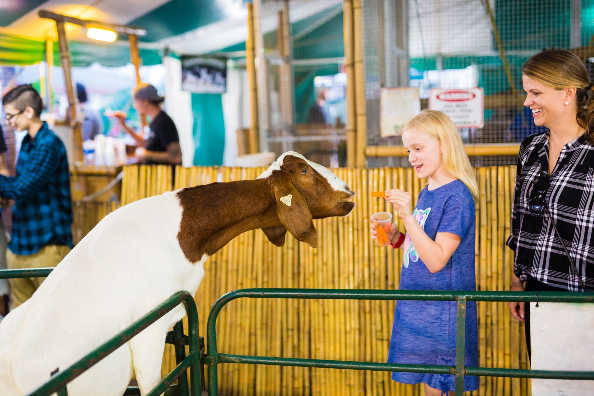 Süd-Carolina State Fair