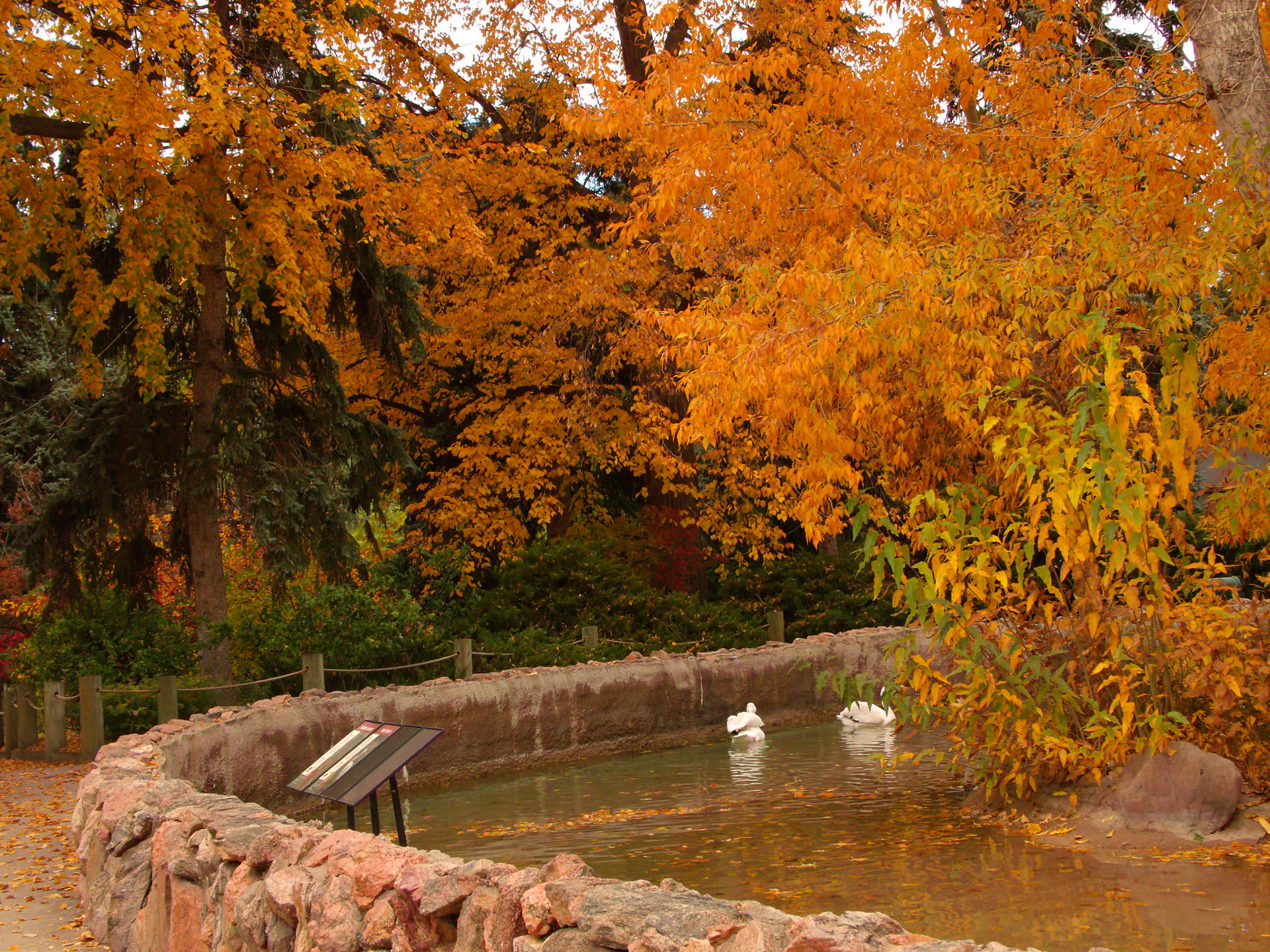 Colores de otoño en Denver