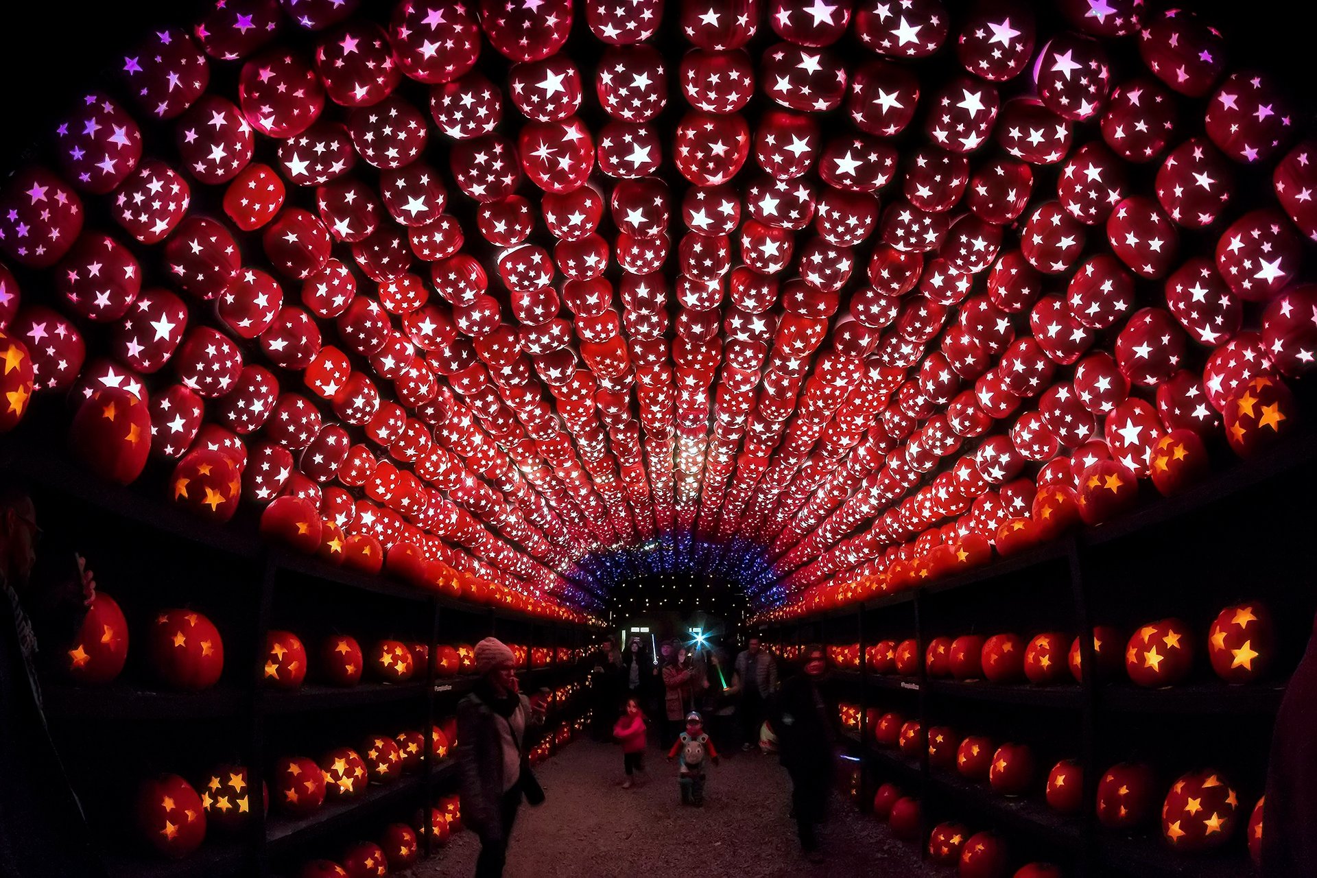 Great Jack O'Lantern Blaze