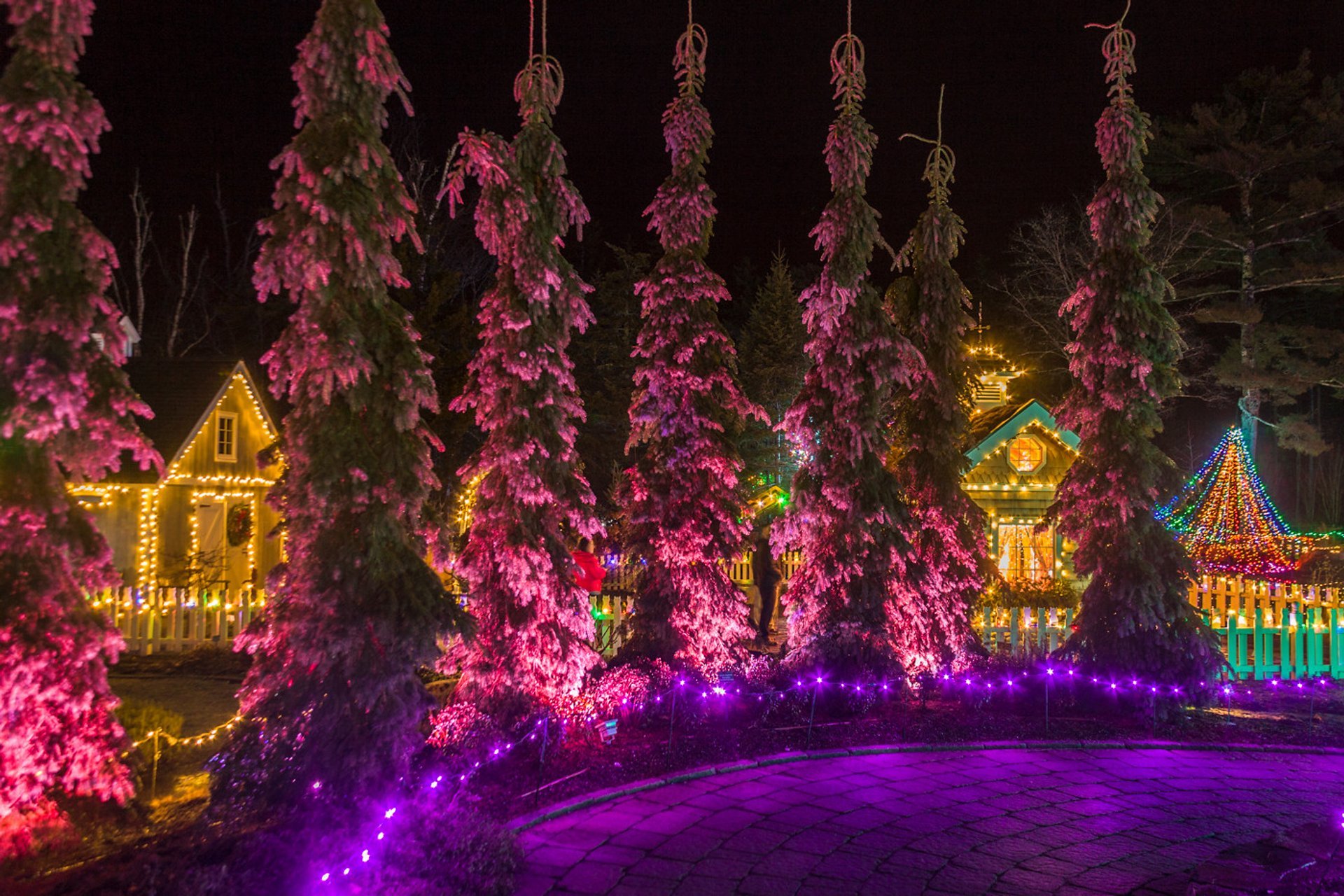 Luzes de Natal