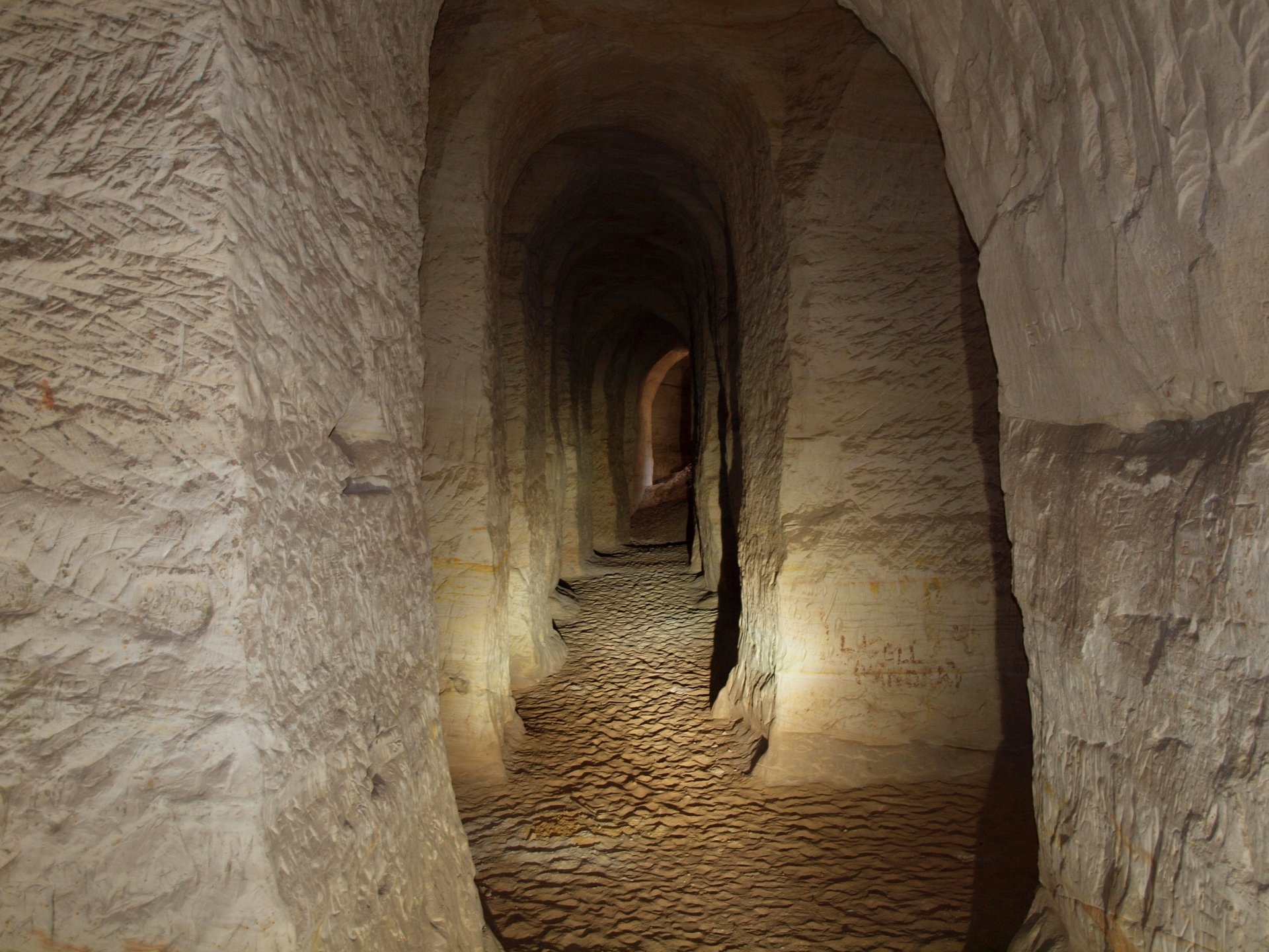 Murciélagos en las cuevas de arena de Piusa