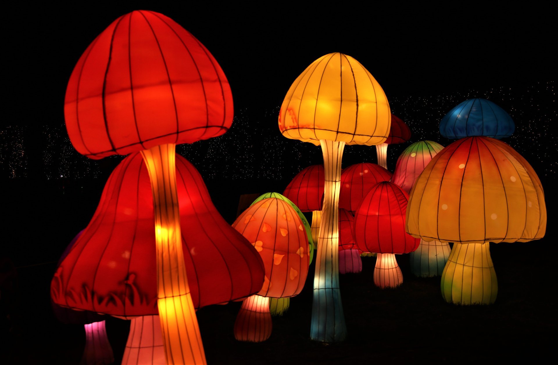 NYC Winter Lantern Festival 2022 in New York Dates