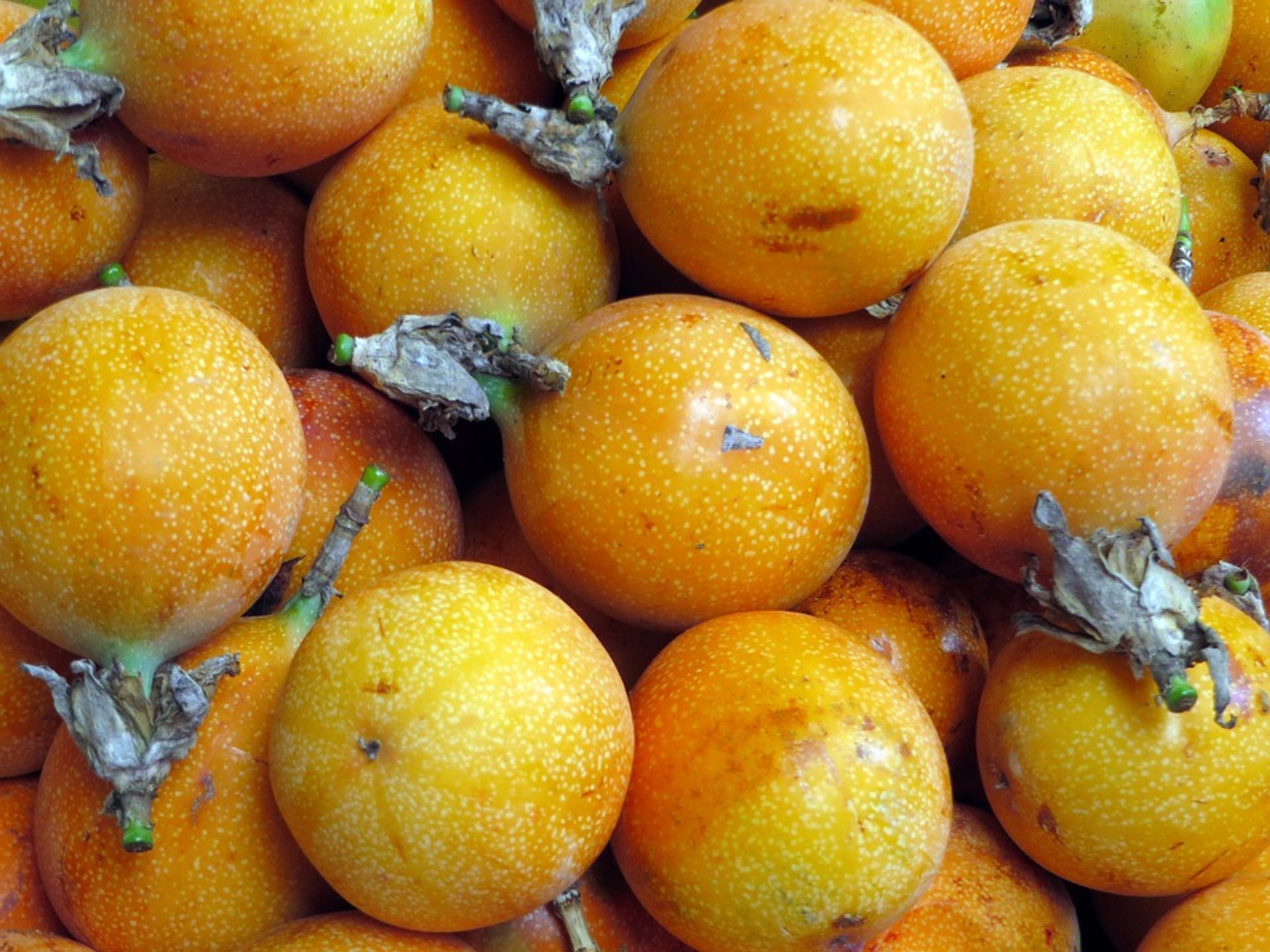 Frutta della passione o Maracuya