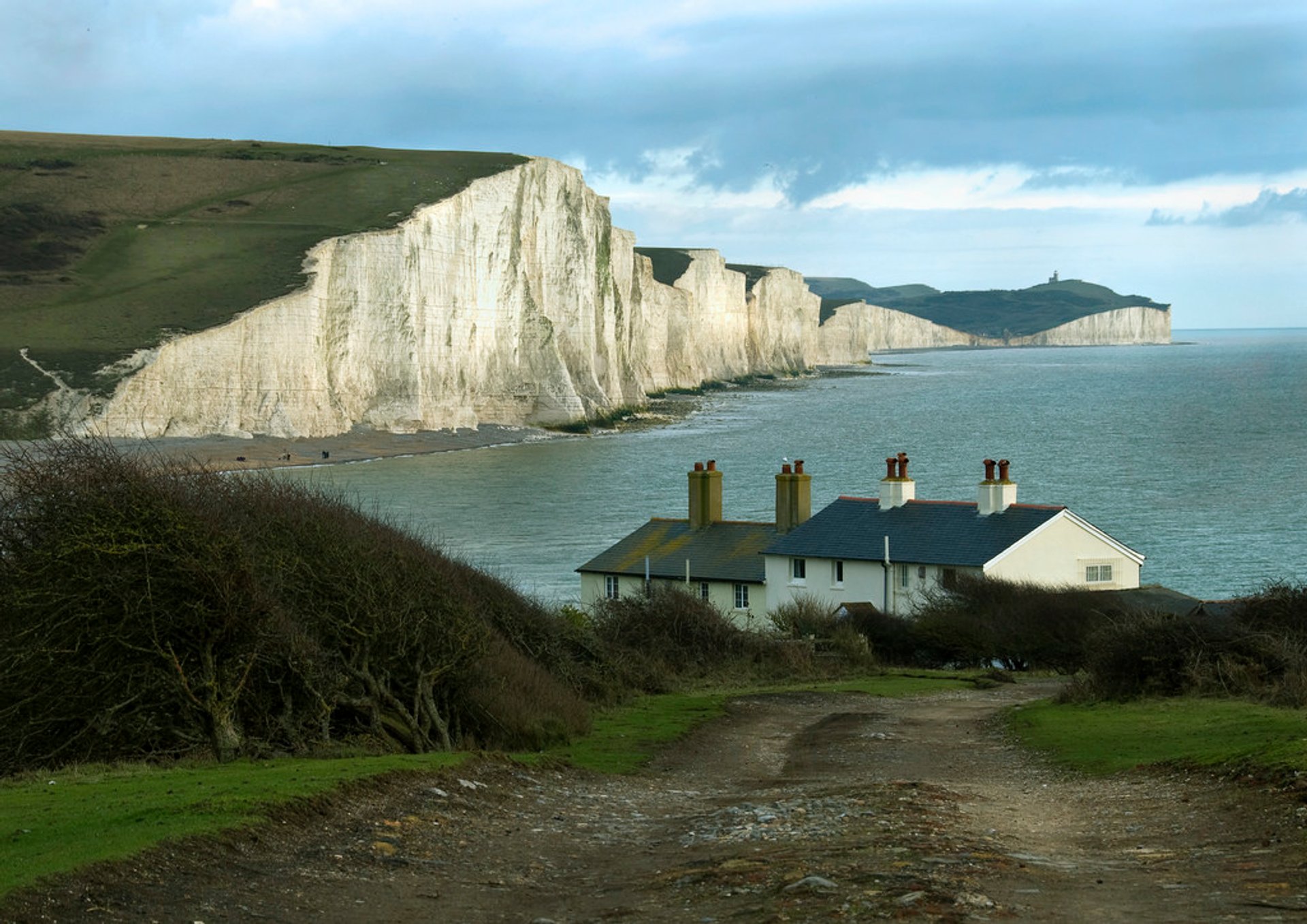 Les falaises de tilleul de East Sussex