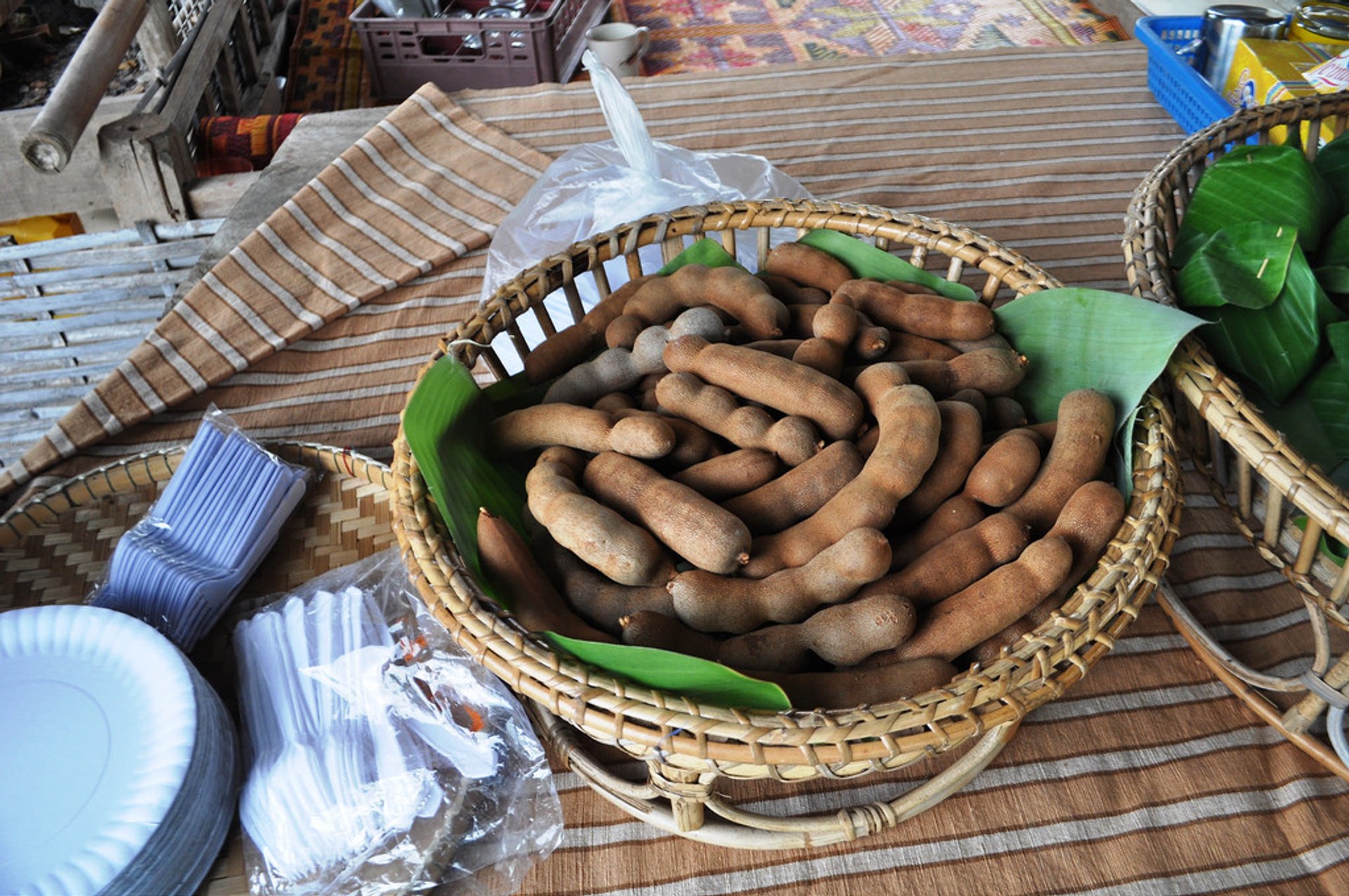 Tamarind Season