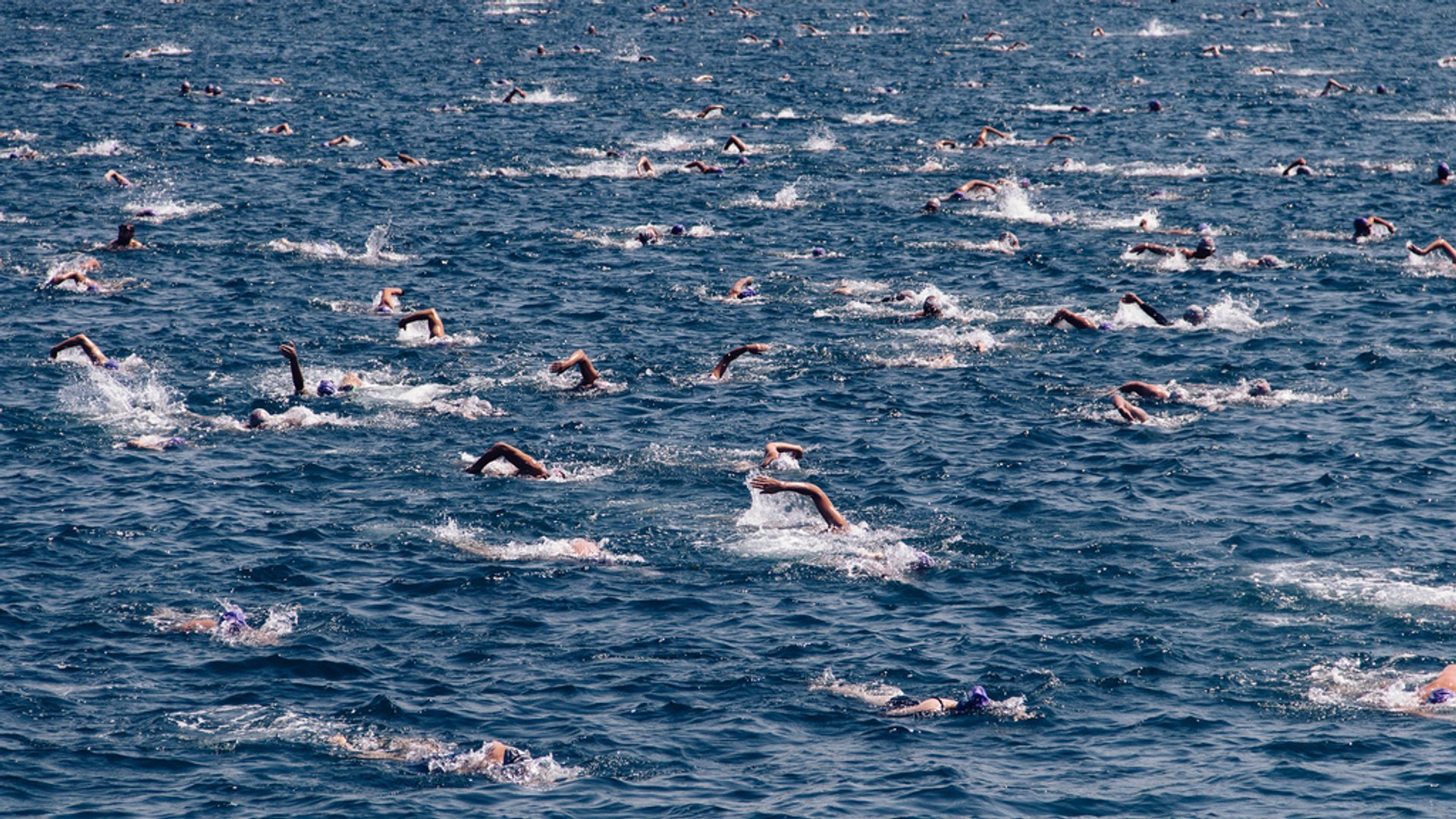 Bosphorus Cross-Continental Swim