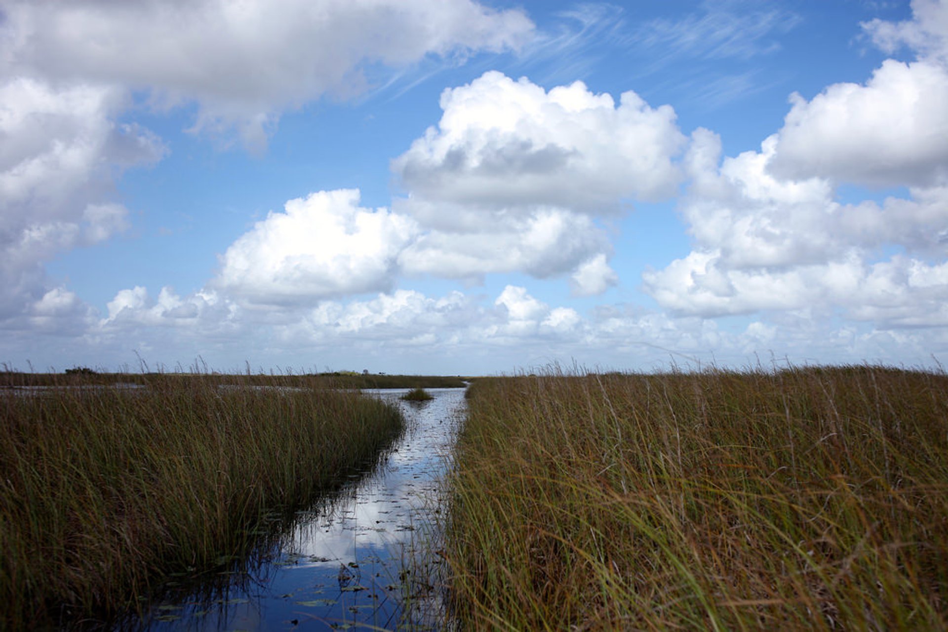 Aventura de barco em Everglades