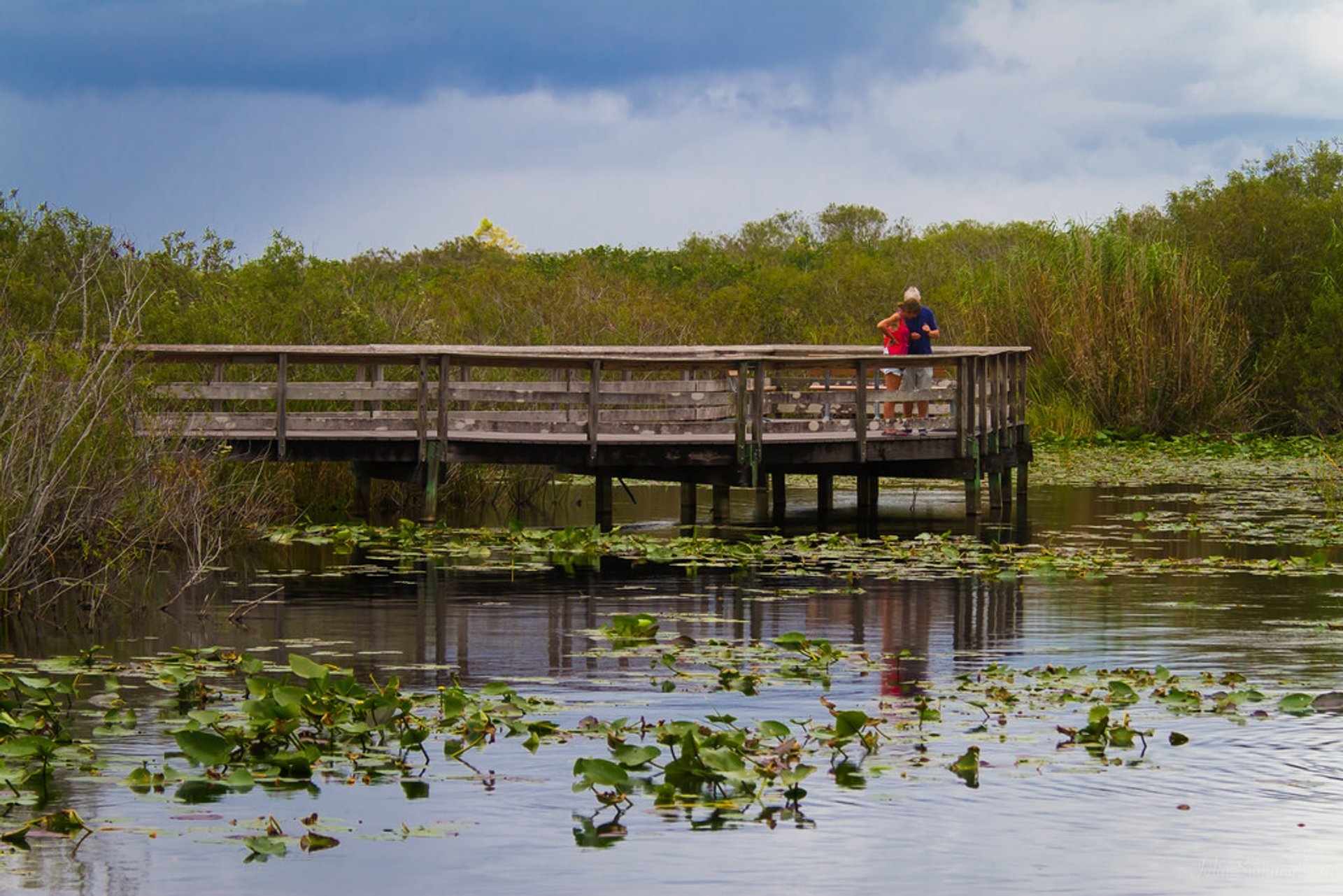 Bootsabenteuer in Everglades