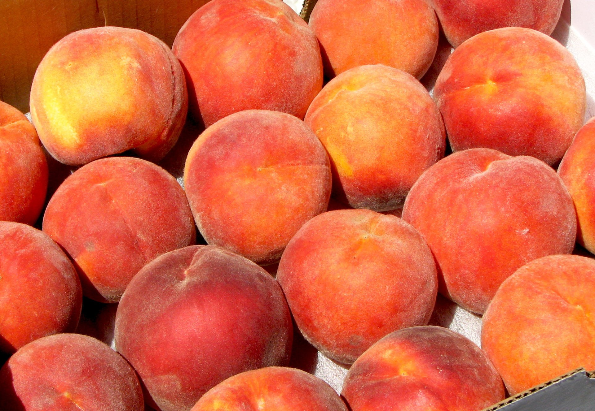 Lafayette Peach Festival