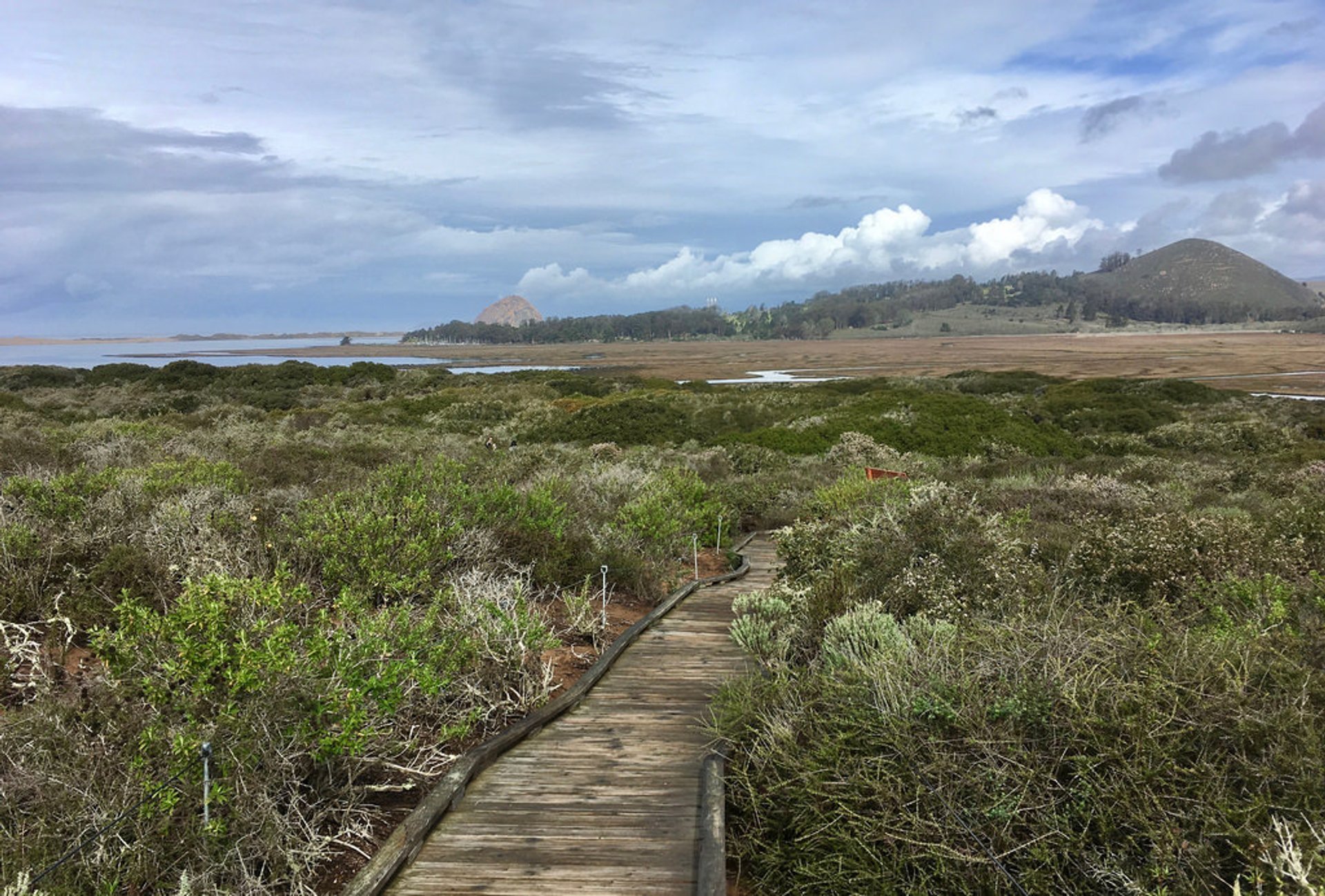 Elfin Forest Recreational Reserve