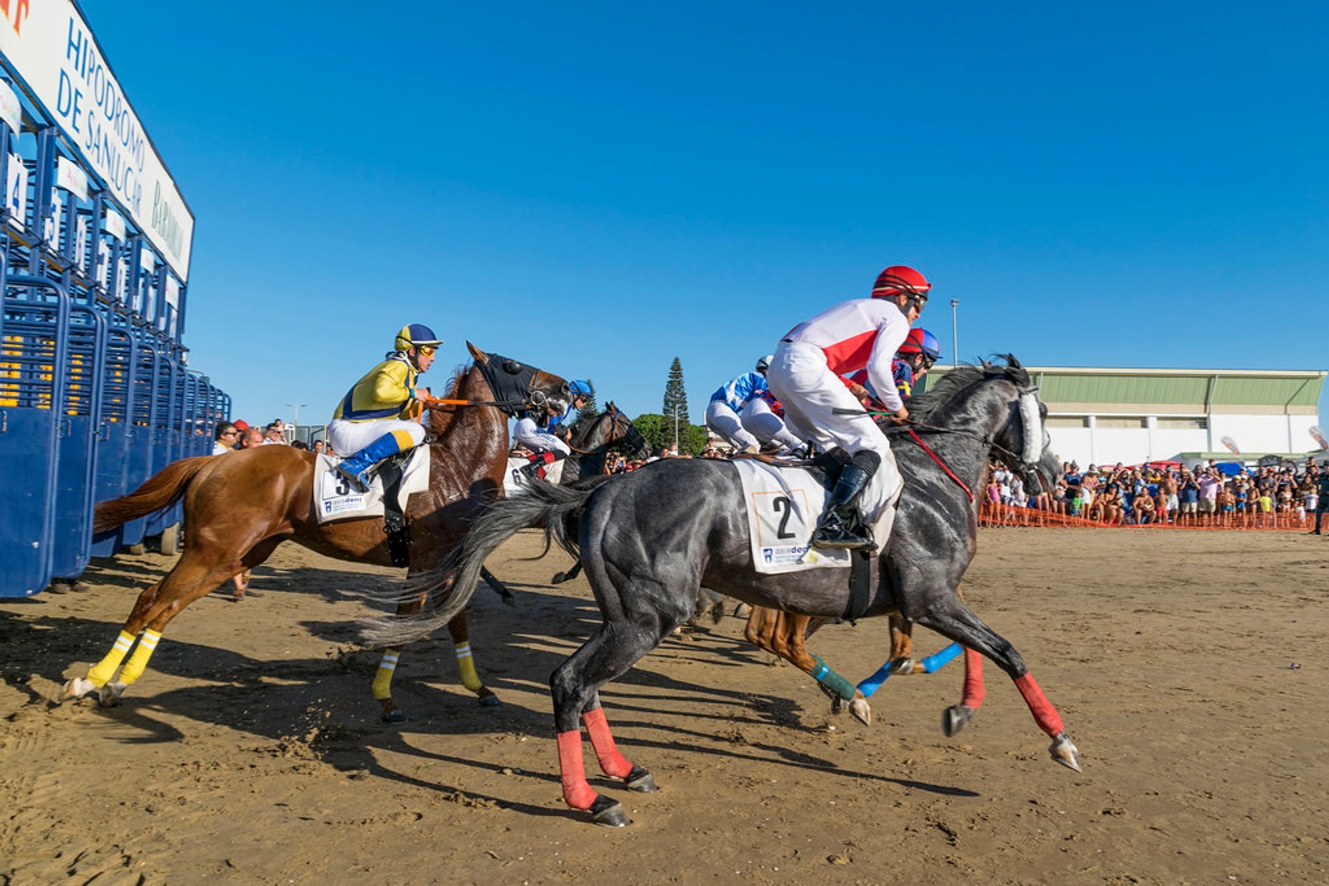 Corrida de cavalos Sanlúcar