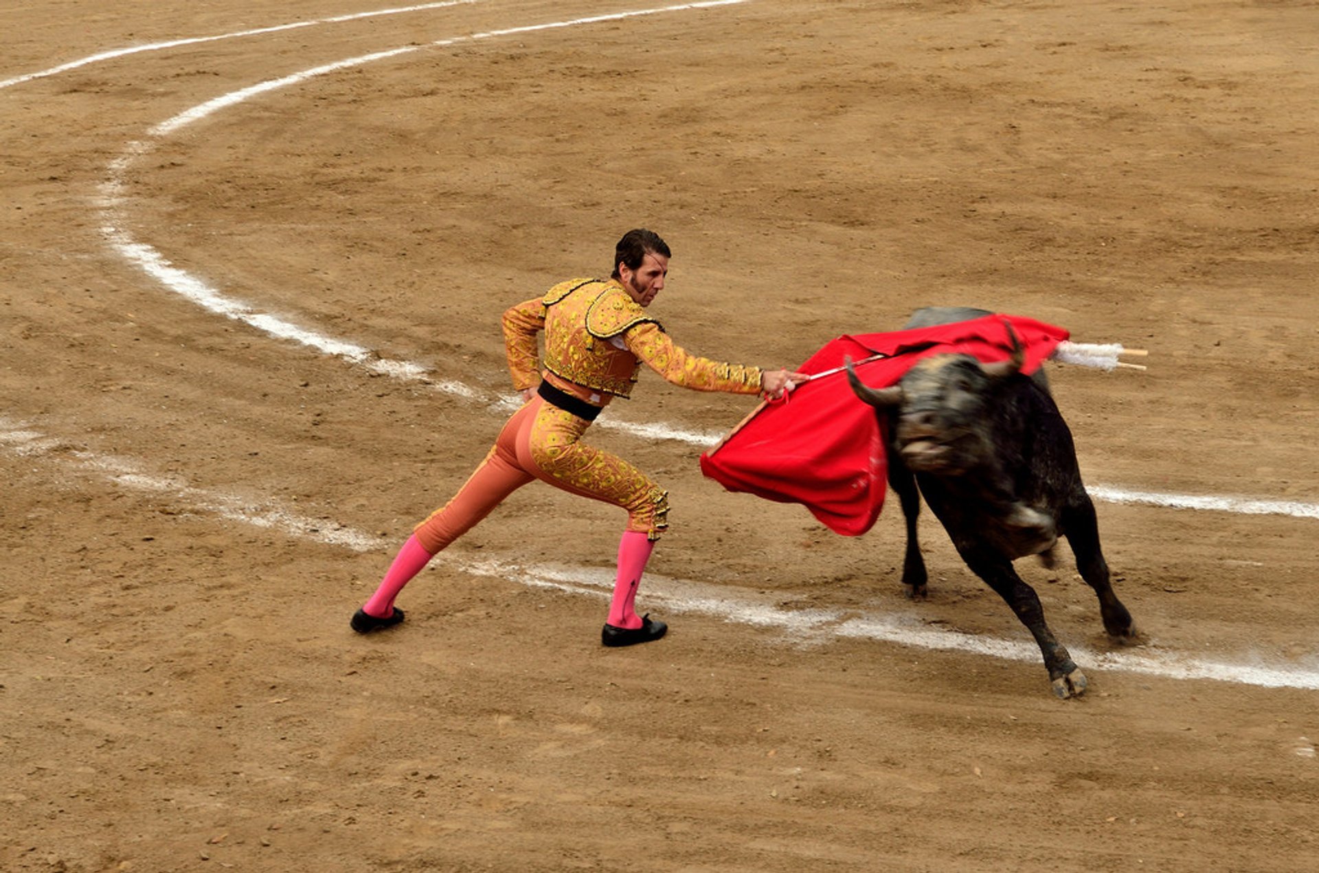 Bullfighting 2023-2024 in Mexico - Dates