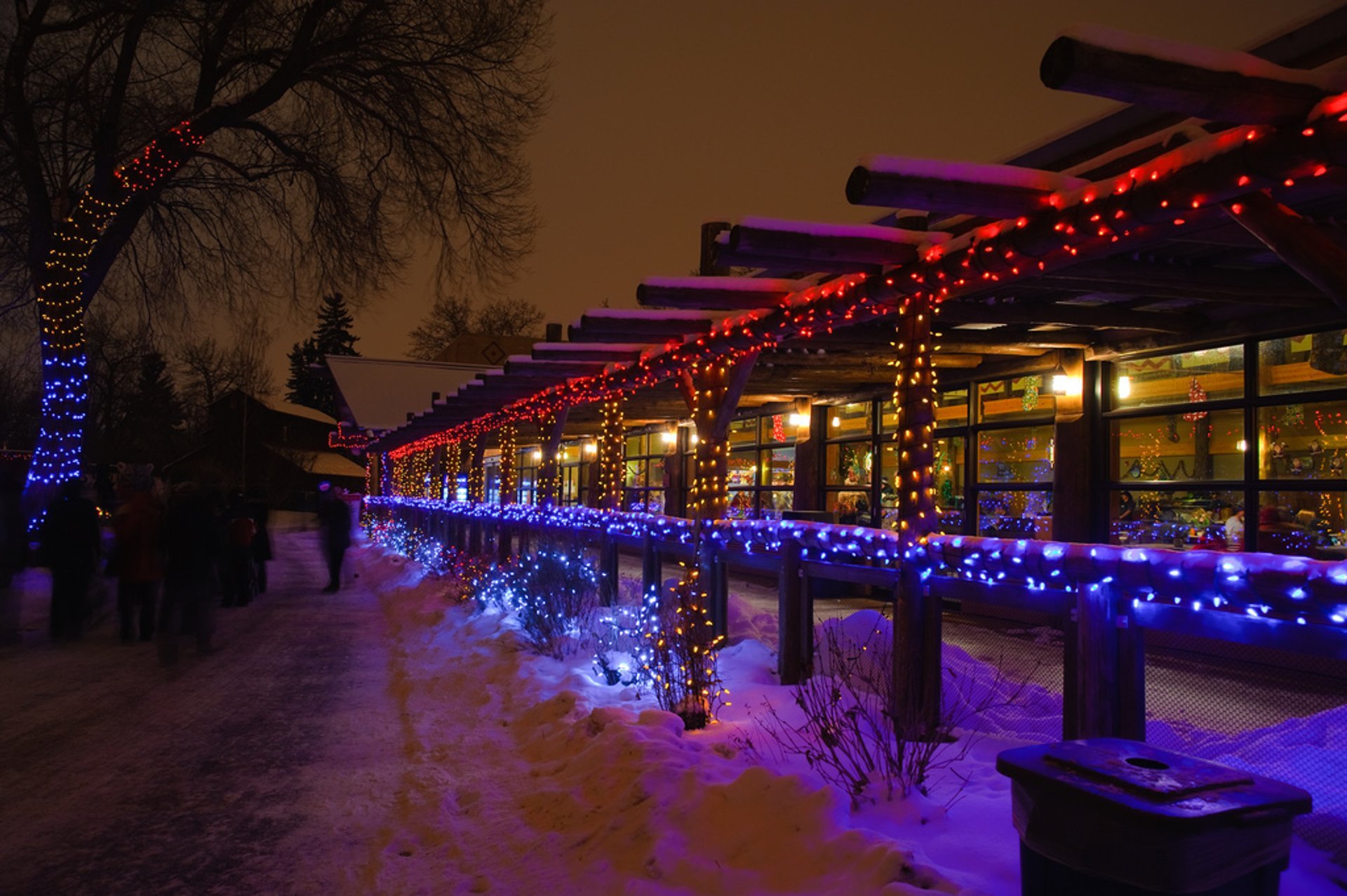 Zoo Lights 20232024 in Calgary Dates