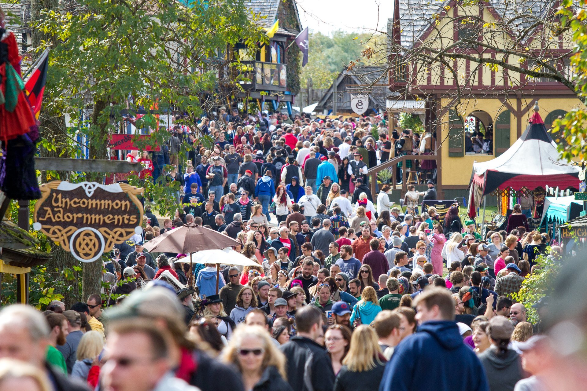 Renaissance Festival Signs