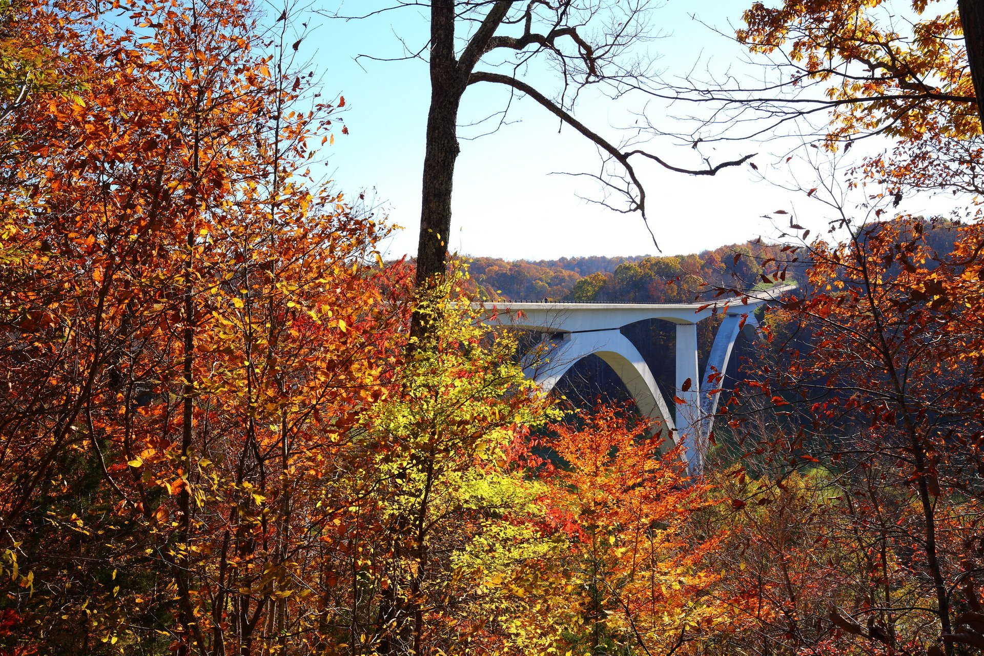 Natchez Trace Parkway