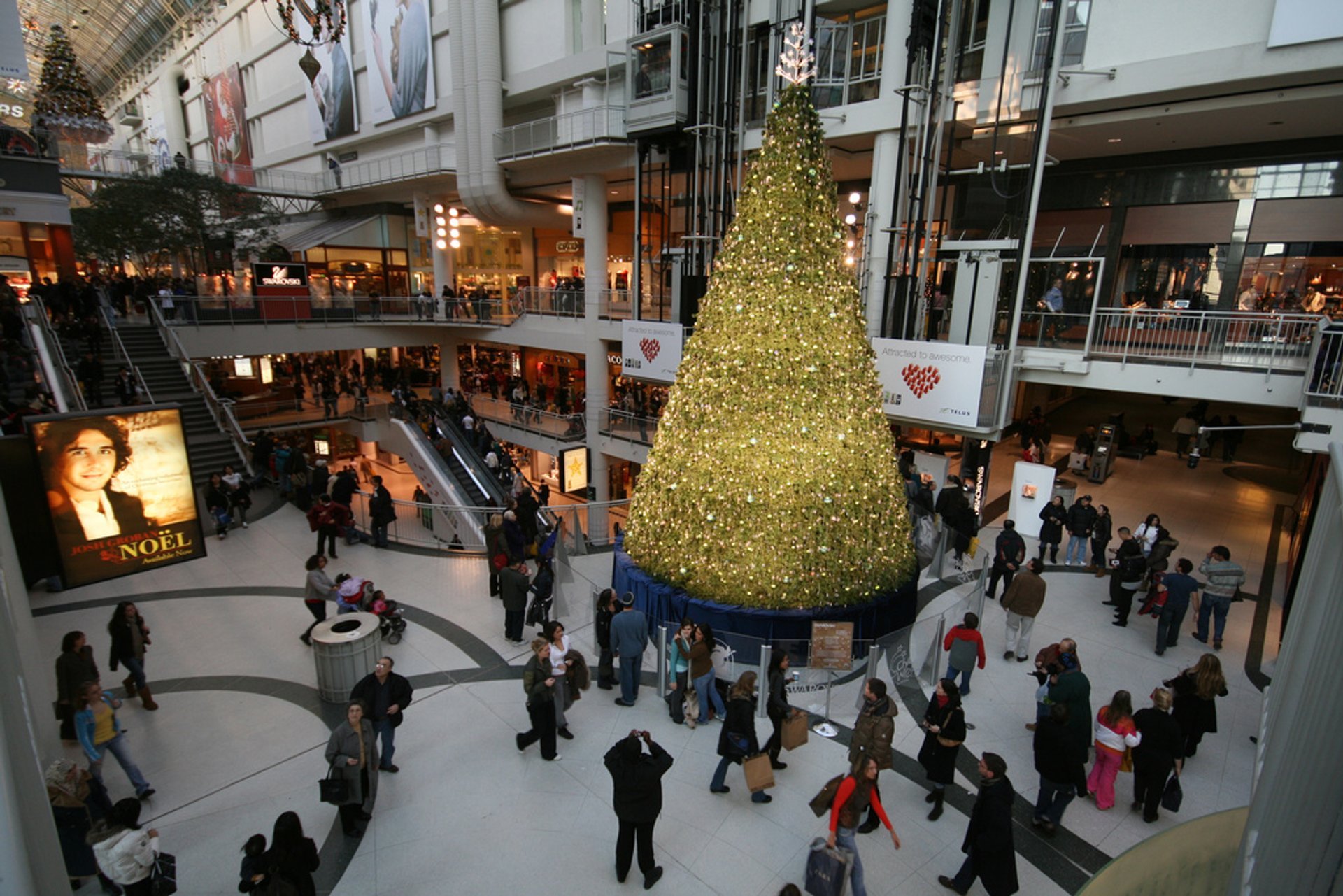 Luces de Navidad